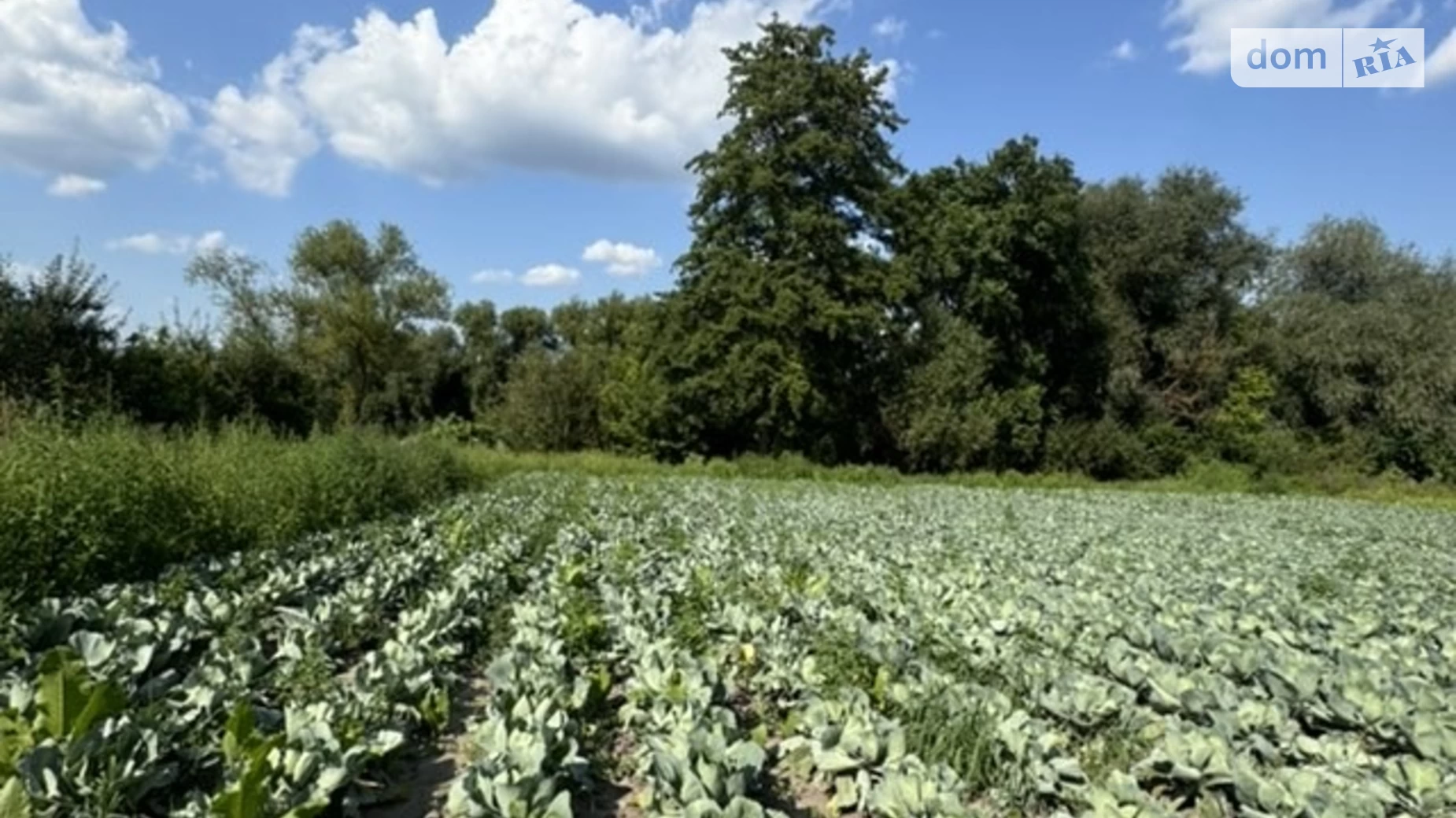 Зарічна Селище (Тывров), цена: 15000 $ - фото 3