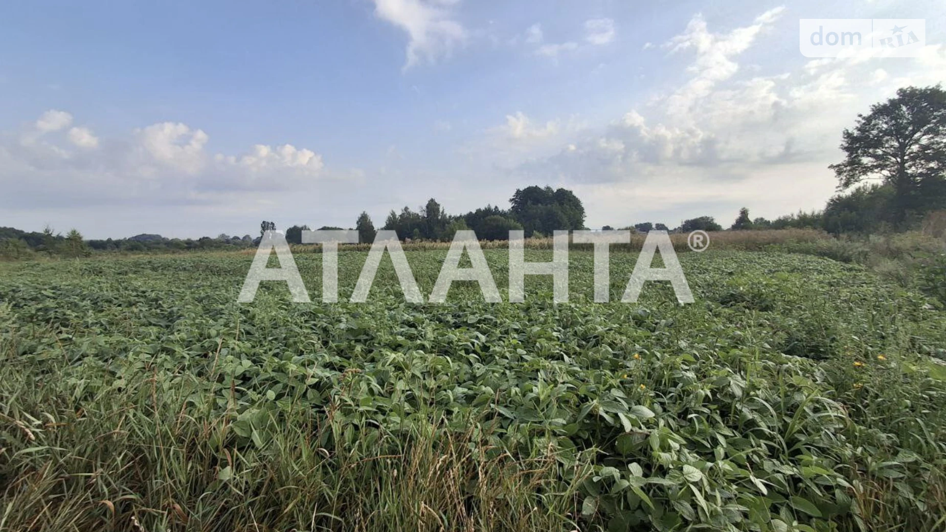 Продається земельна ділянка 14.76 соток у Вінницькій області, цена: 9000 $ - фото 2