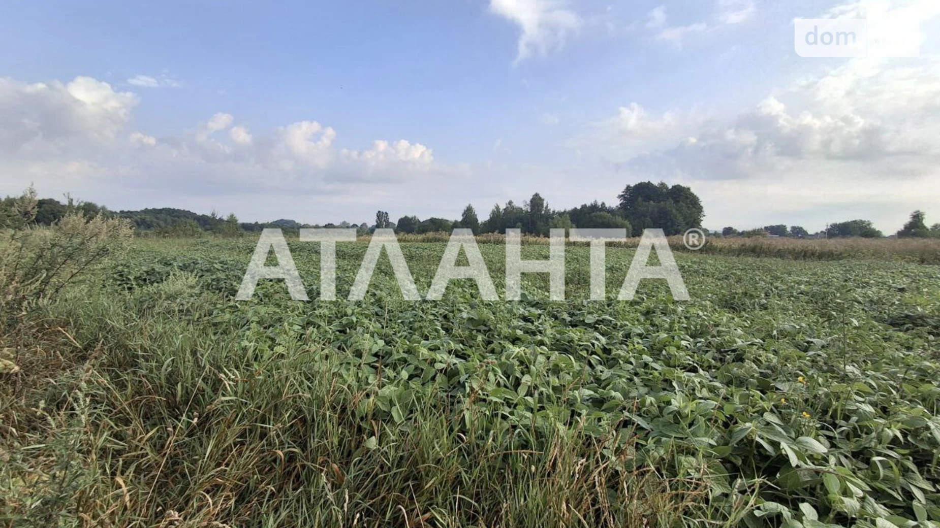 Продається земельна ділянка 14.76 соток у Вінницькій області, цена: 9000 $ - фото 3