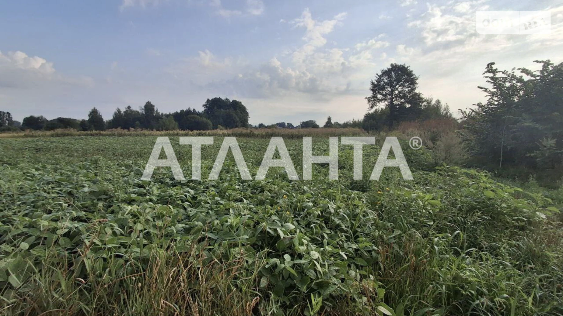 Продається земельна ділянка 14.76 соток у Вінницькій області, цена: 9000 $ - фото 4