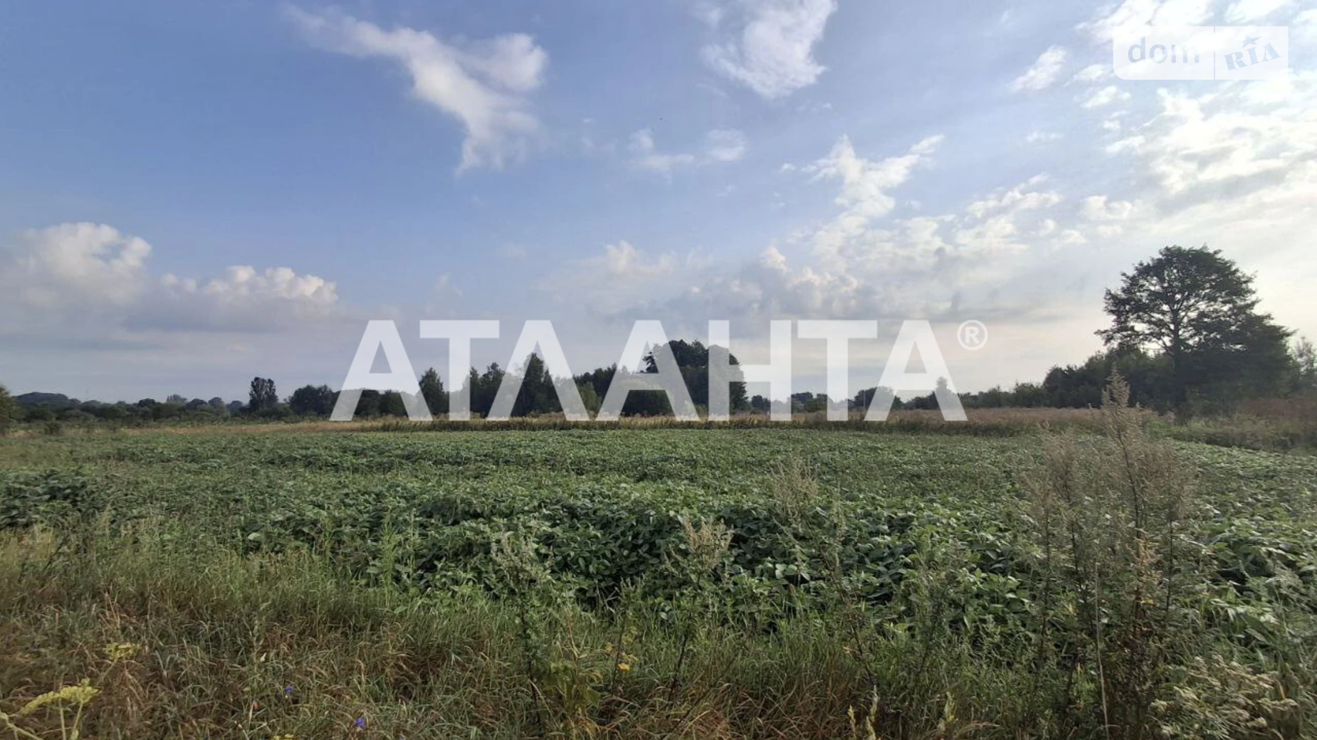 Продається земельна ділянка 14.76 соток у Вінницькій області, цена: 9000 $ - фото 5