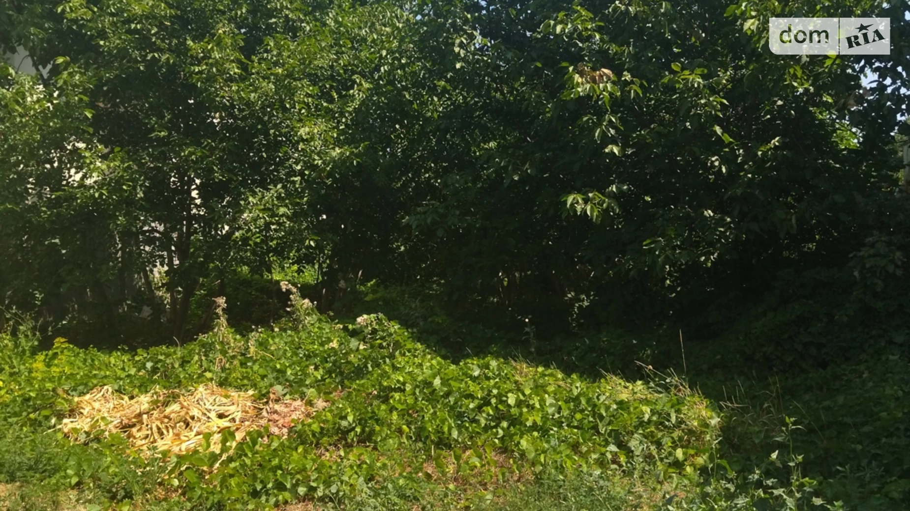 ул. Люстдорфская дорога Киевский Одесса, цена: 200000 $ - фото 3