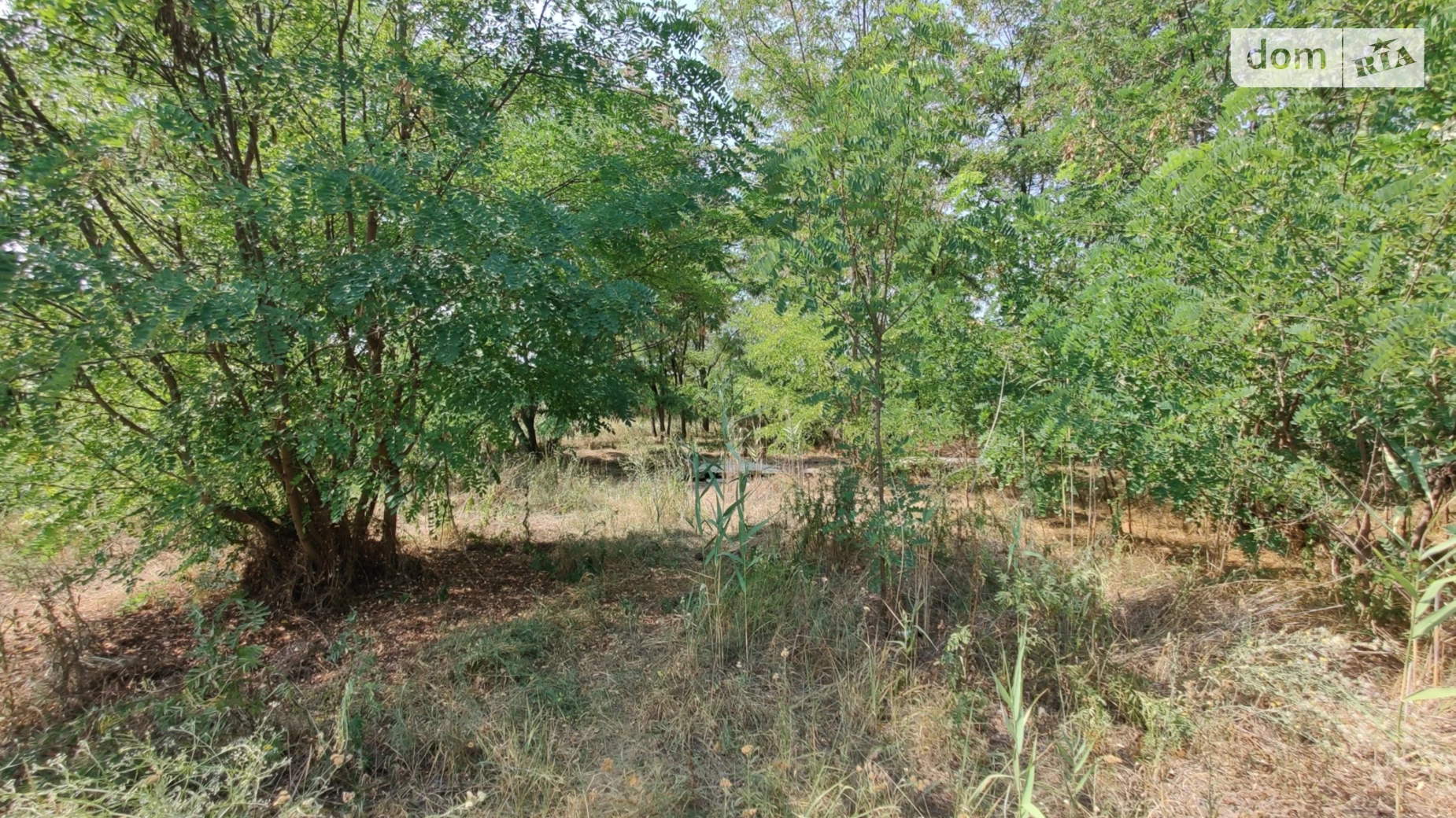 Продается земельный участок 10 соток в Днепропетровской области, цена: 20000 $ - фото 3