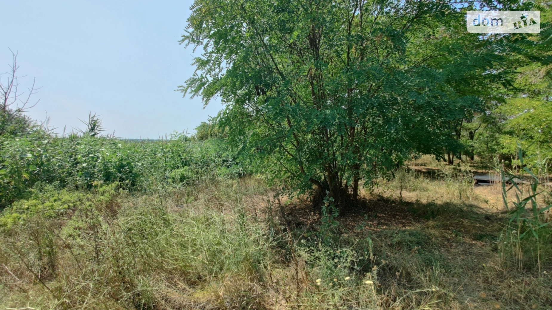 Продается земельный участок 10 соток в Днепропетровской области, цена: 20000 $ - фото 4