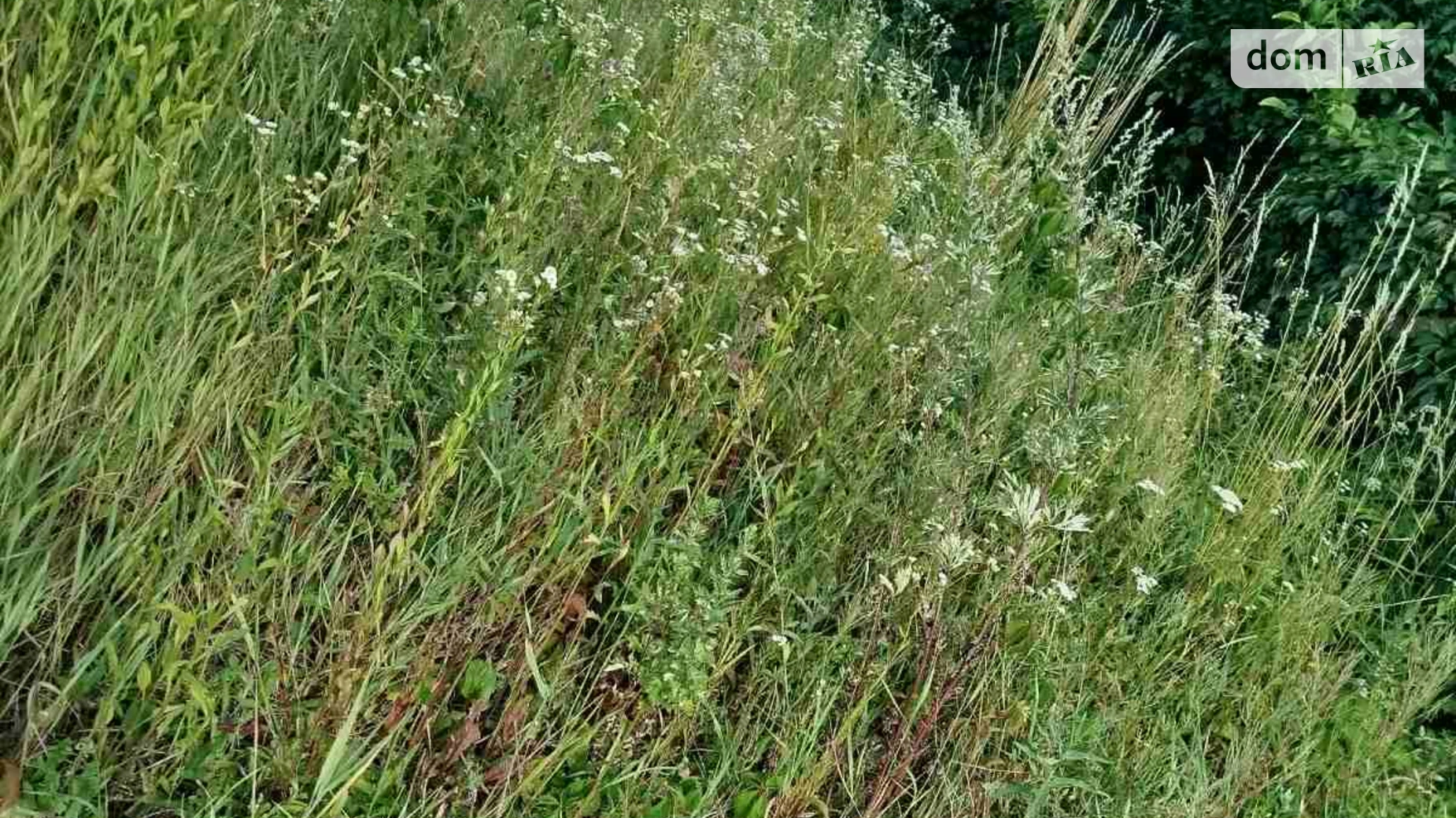 Продається земельна ділянка 5.17 соток у області, цена: 22000 $ - фото 3