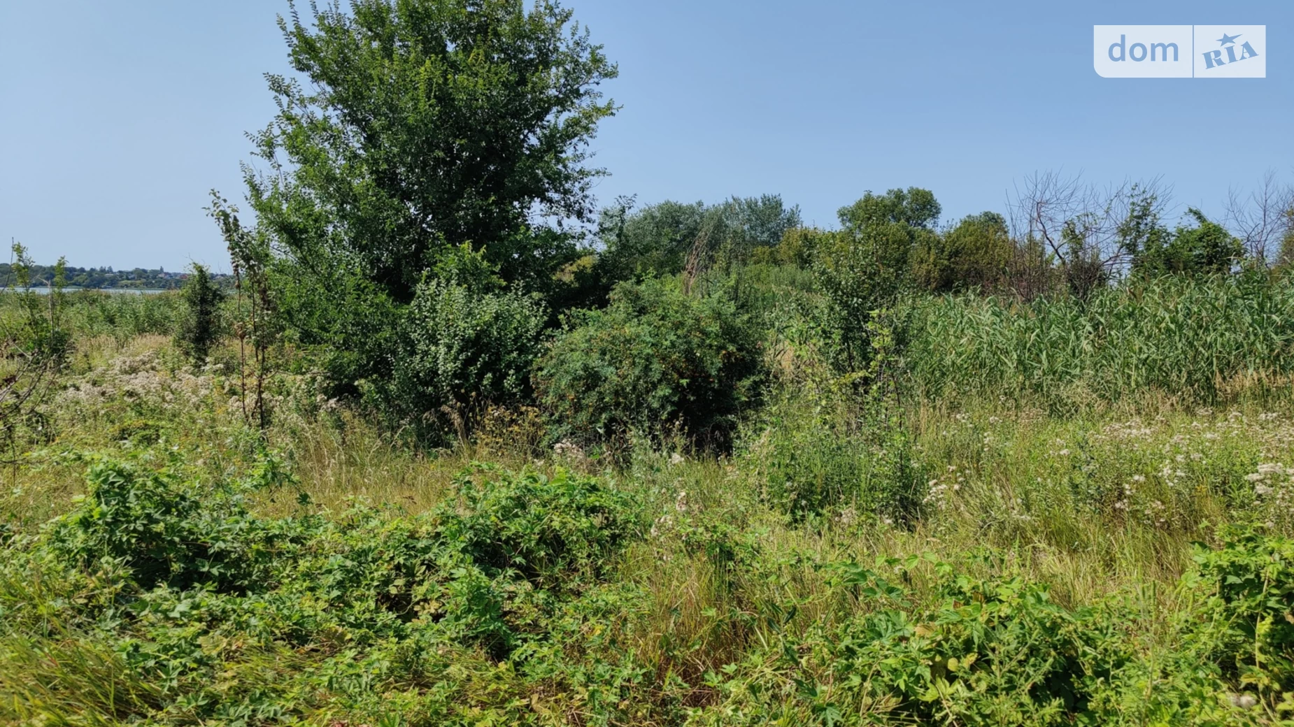 Продается земельный участок 10 соток в Днепропетровской области, цена: 20000 $ - фото 3