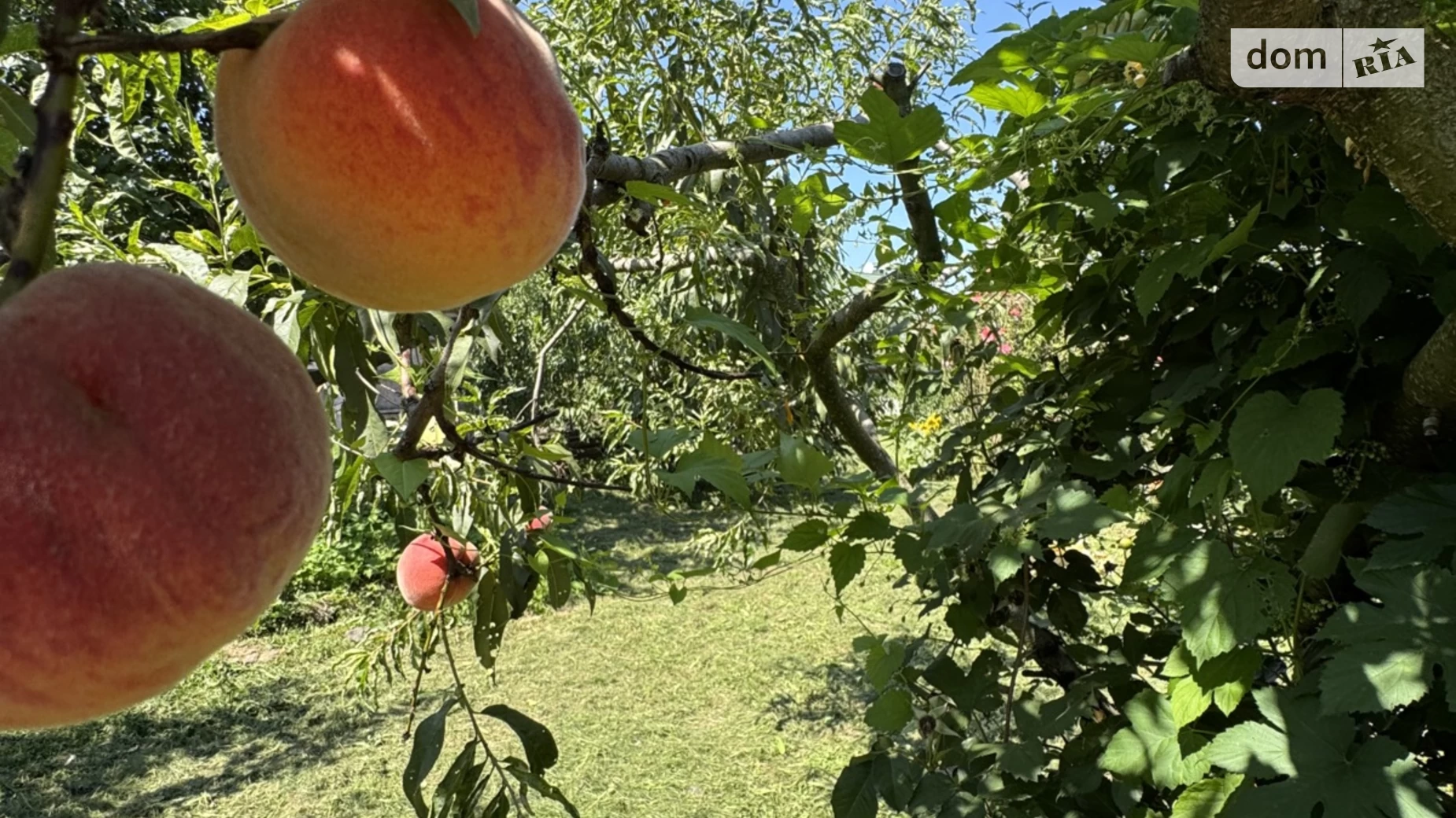 Продається одноповерховий будинок 120 кв. м з банею/сауною, цена: 190000 $ - фото 5