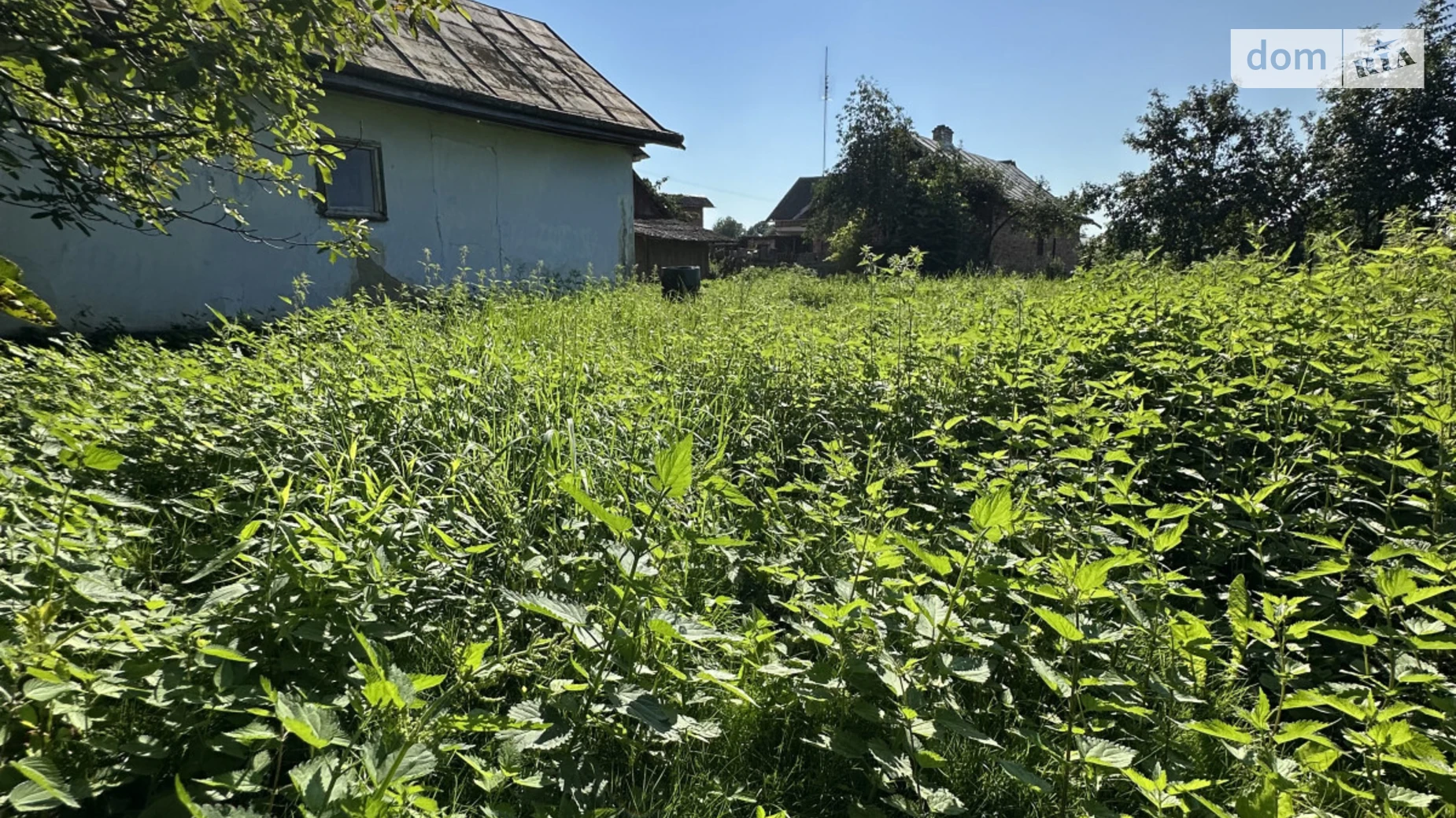 Миклашов, цена: 25000 $ - фото 3