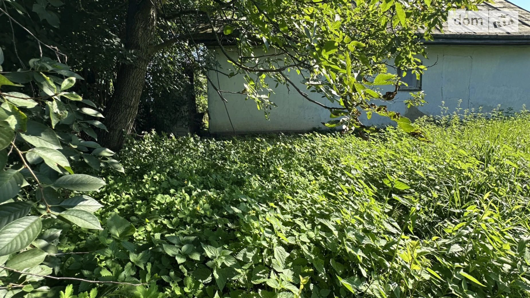 Миклашов, цена: 25000 $ - фото 4