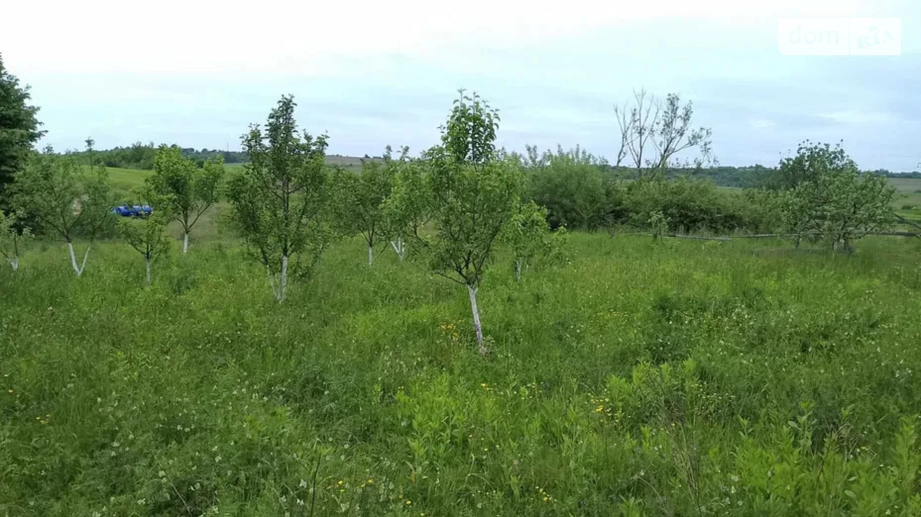 Продается дом на 2 этажа 180 кв. м с мансардой, цена: 60000 $ - фото 5