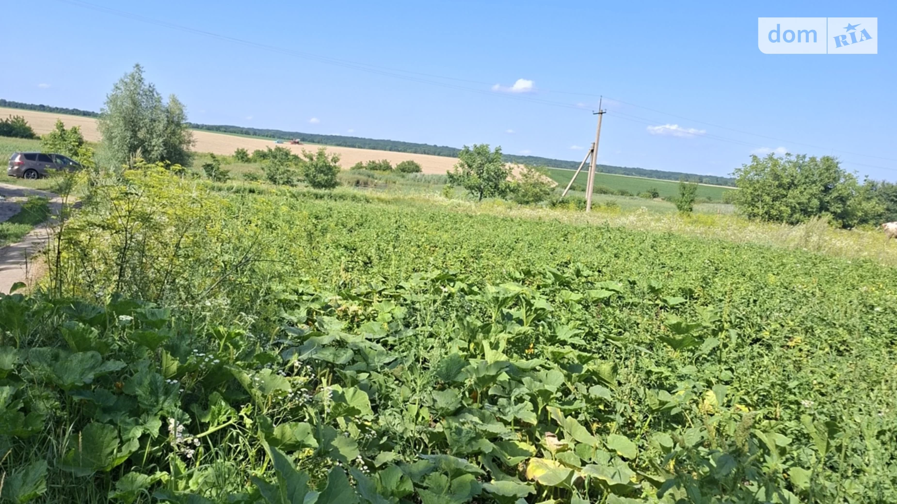 Продается земельный участок 9.94 соток в Хмельницкой области, цена: 11000 $ - фото 5