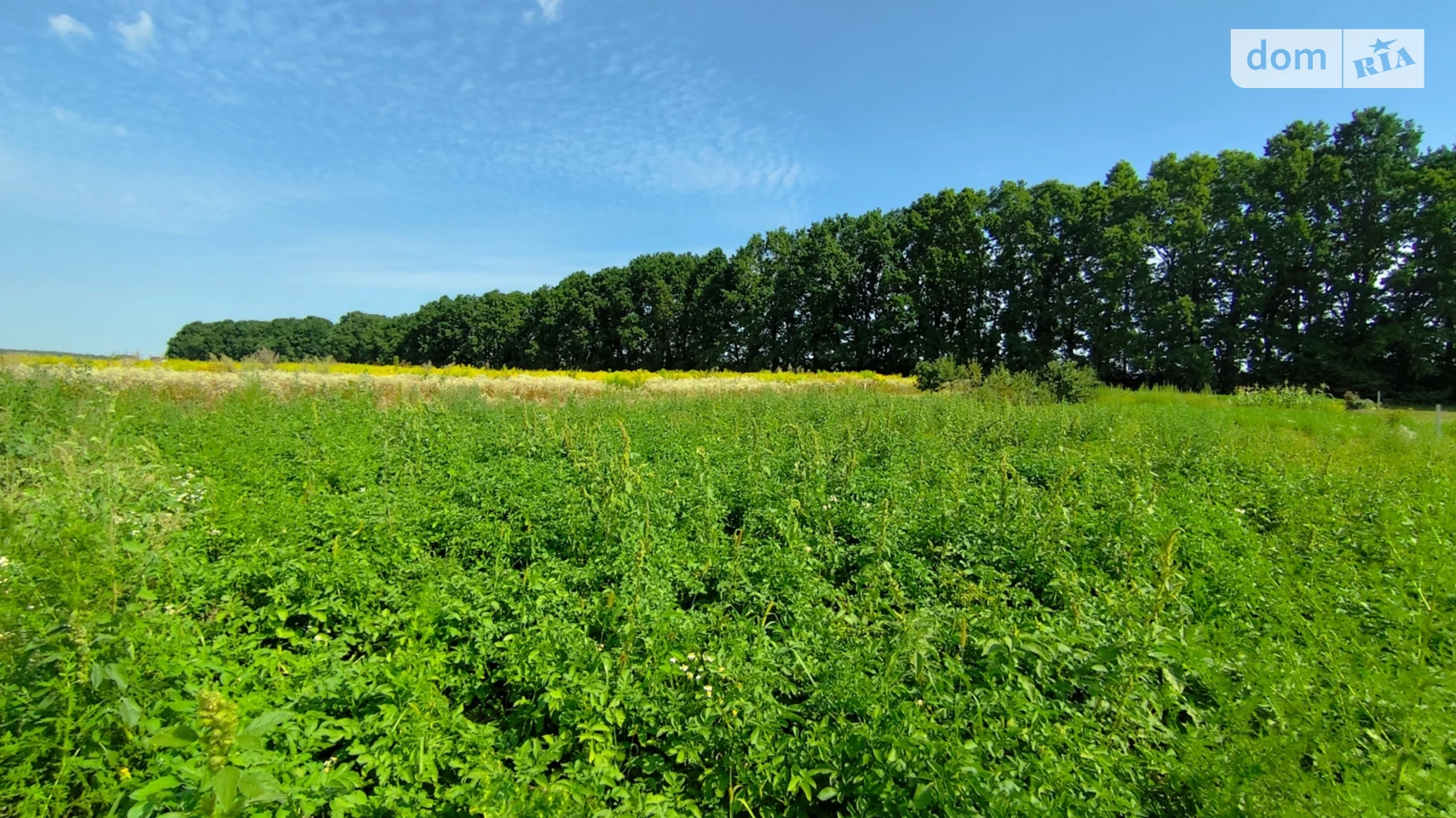 Продается земельный участок 6 соток в Винницкой области, цена: 16000 $ - фото 3