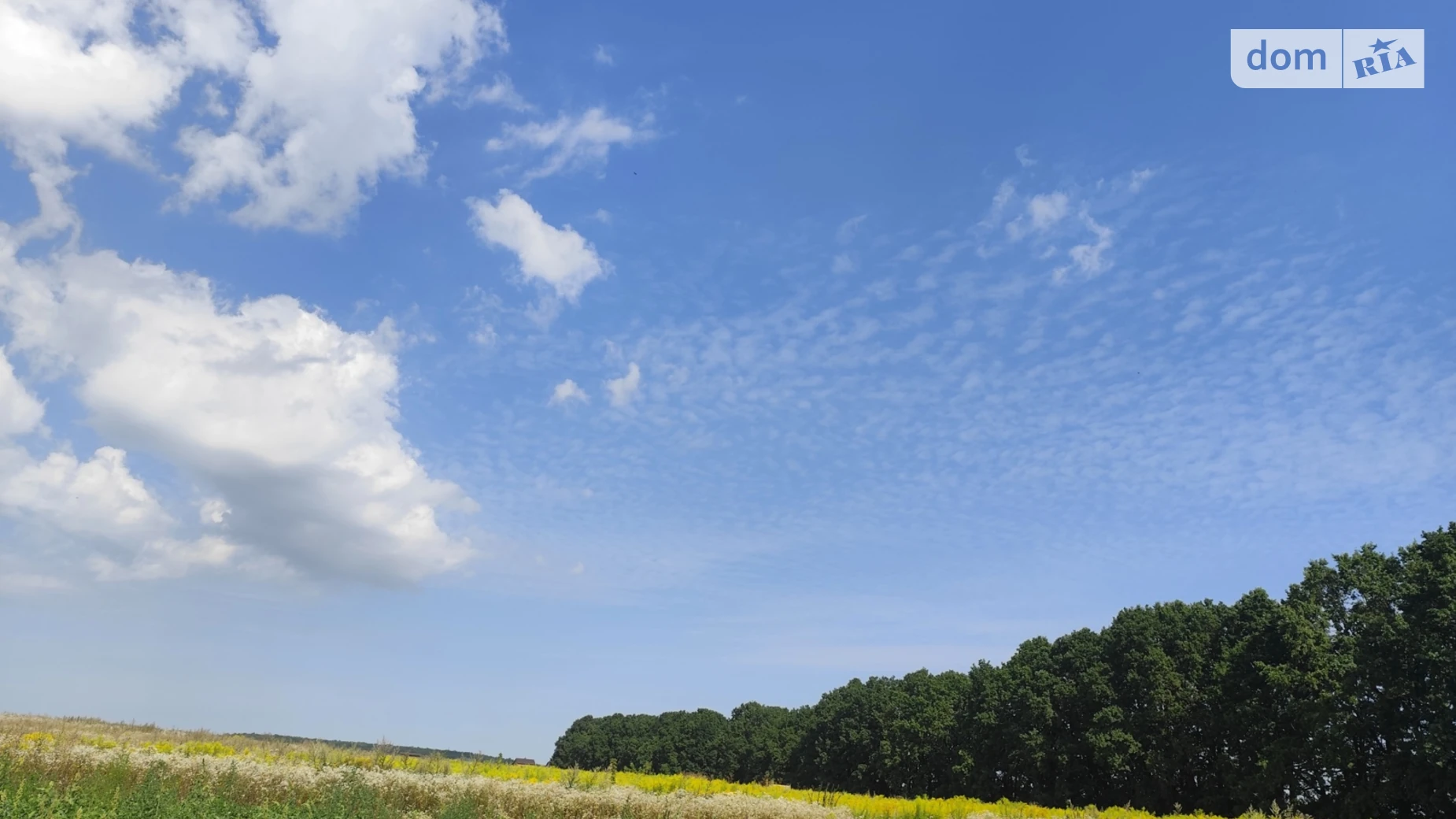 Продается земельный участок 6 соток в Винницкой области, цена: 16000 $ - фото 2