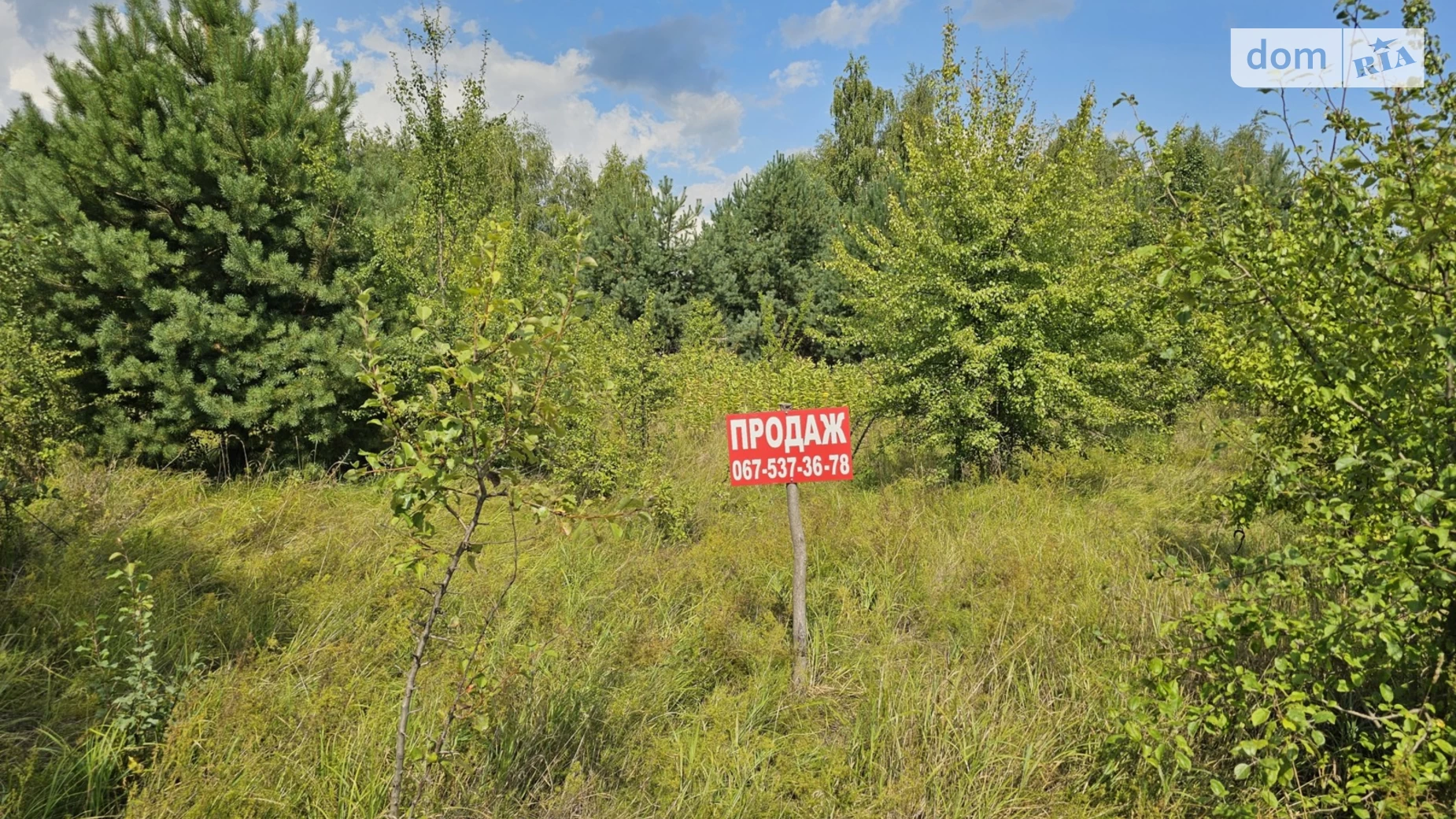Продается земельный участок 14 соток в  области, ул. Березовая - фото 2