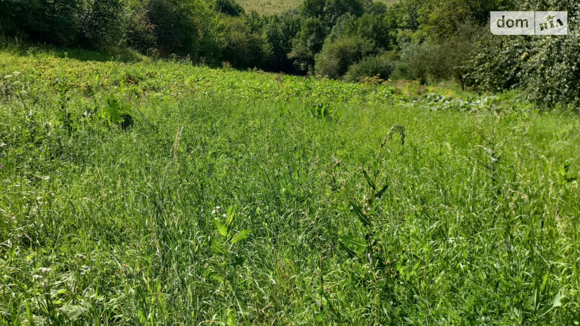 Продается земельный участок 37.92 соток в Винницкой области, цена: 55000 $ - фото 2