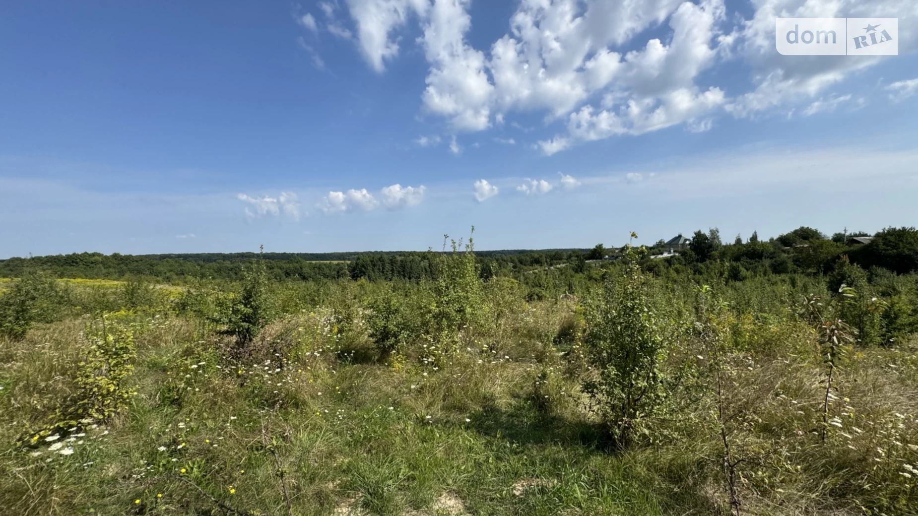 Продается земельный участок 10 соток в Винницкой области, цена: 25000 $ - фото 5