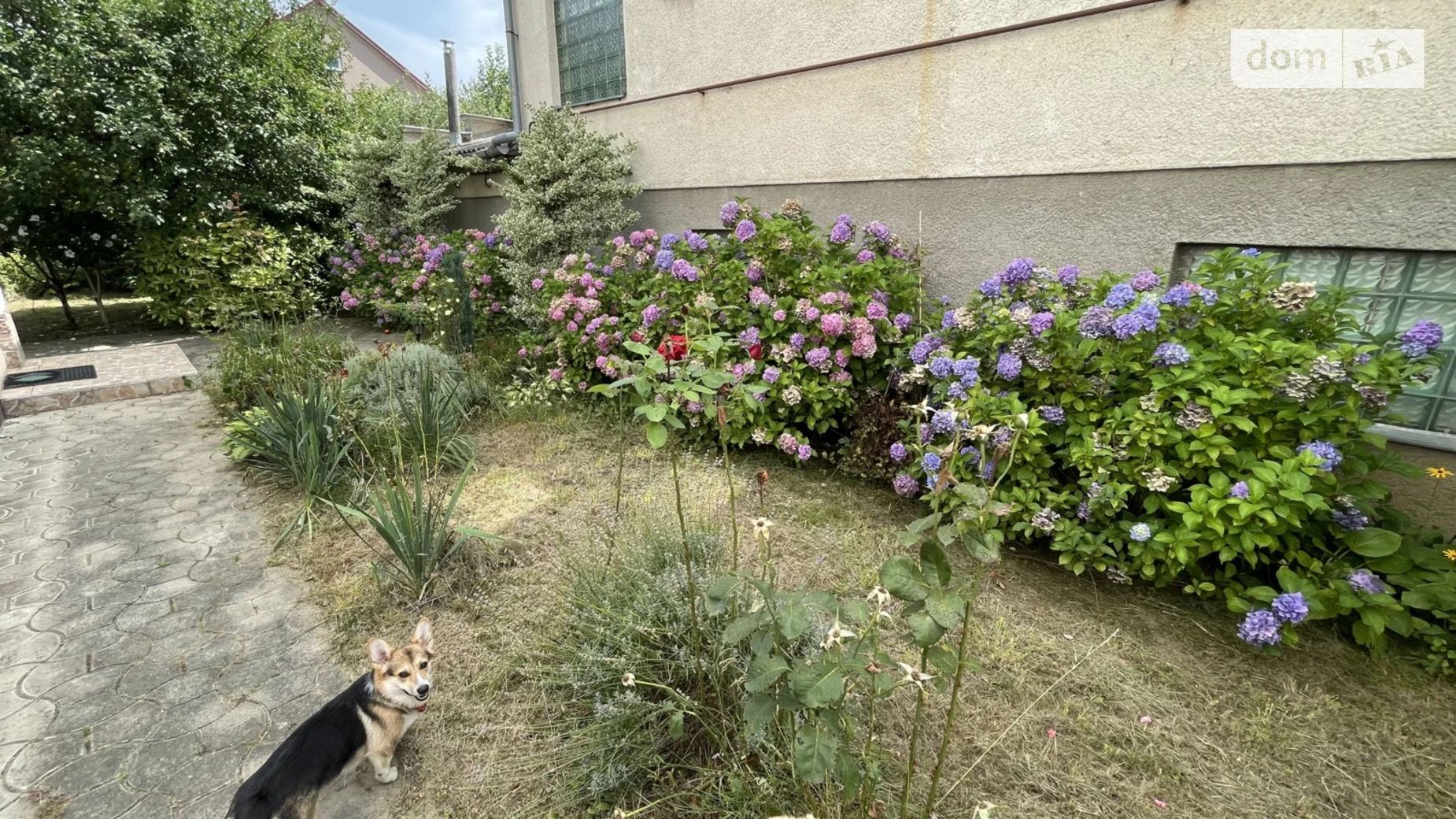 Сдается в аренду дом на 2 этажа 260 кв. м с камином, цена: 900 $ - фото 5