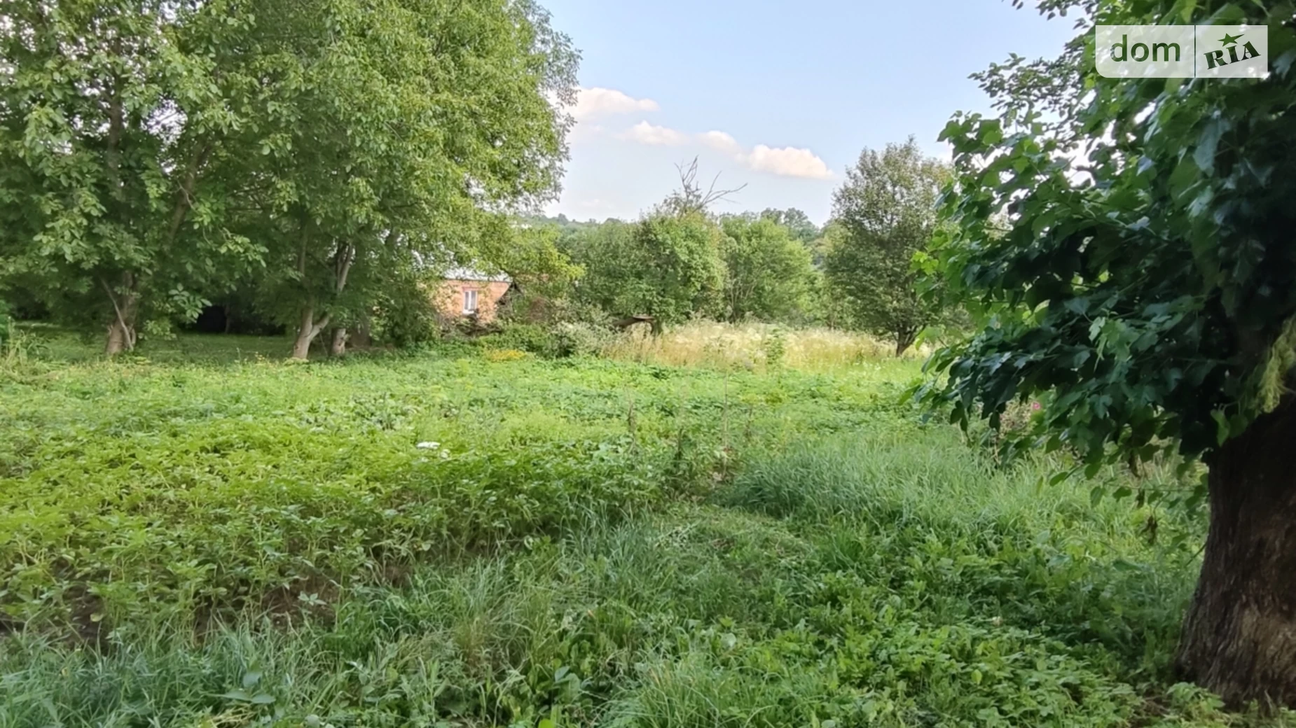 Продается земельный участок 25 соток в Хмельницкой области, цена: 26500 $ - фото 3