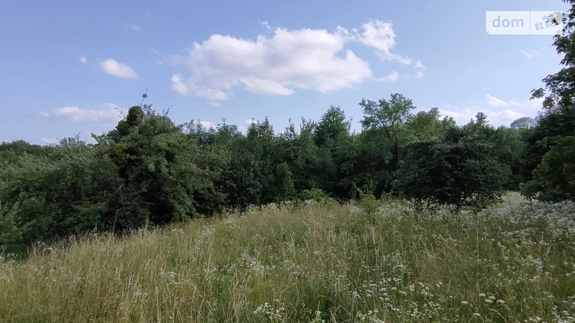 Продается земельный участок 25 соток в Хмельницкой области, цена: 26500 $ - фото 5