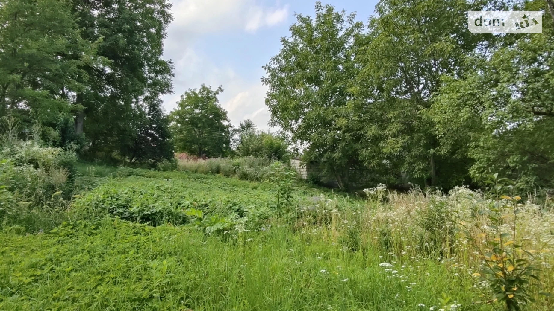 Продается земельный участок 25 соток в Хмельницкой области, цена: 26500 $ - фото 4