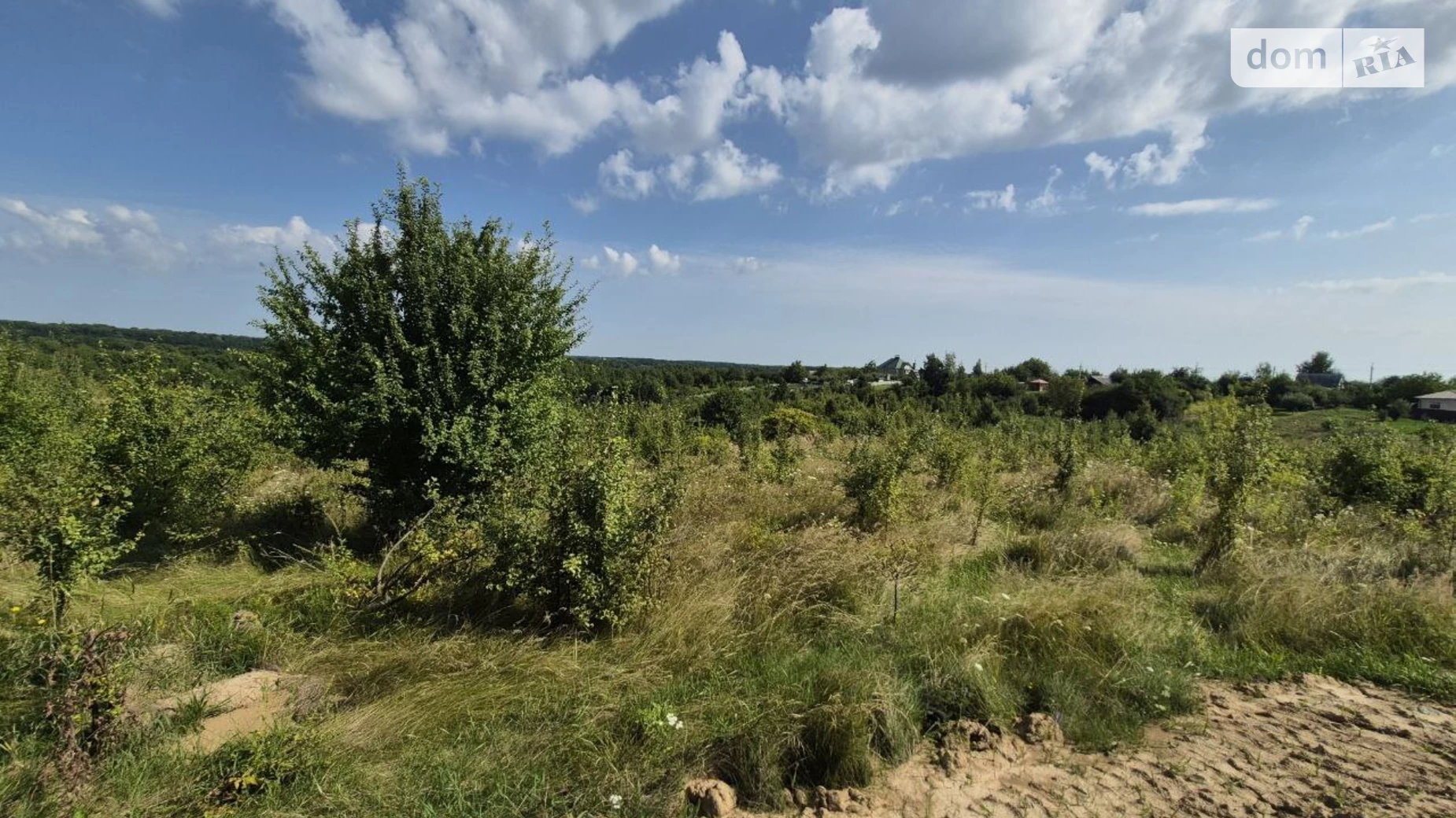 Продается земельный участок 10 соток в Винницкой области, цена: 25000 $ - фото 4