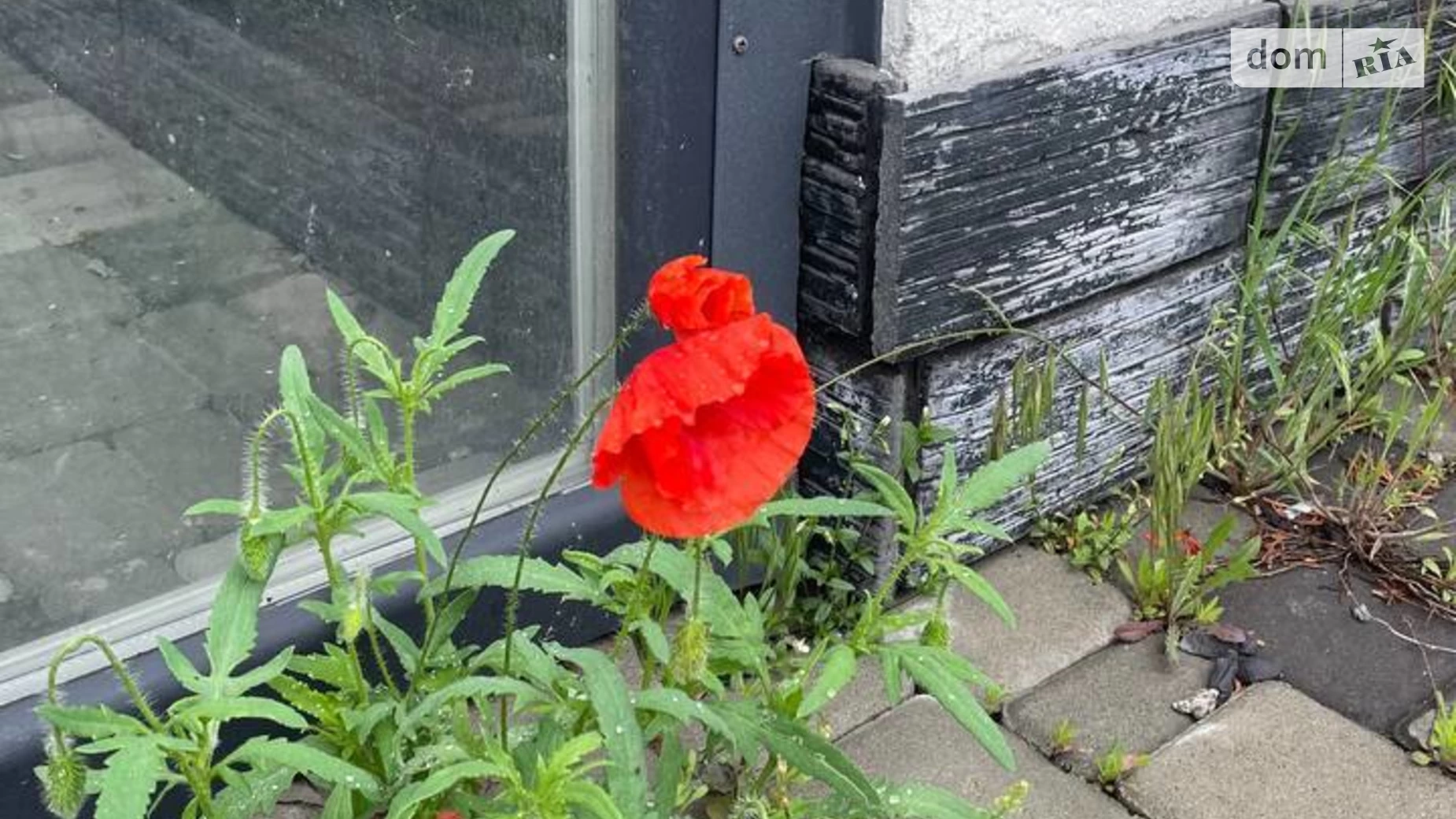 ул. Княгини Ольги, 12/1 Ирпень, цена: 64000 $ - фото 4