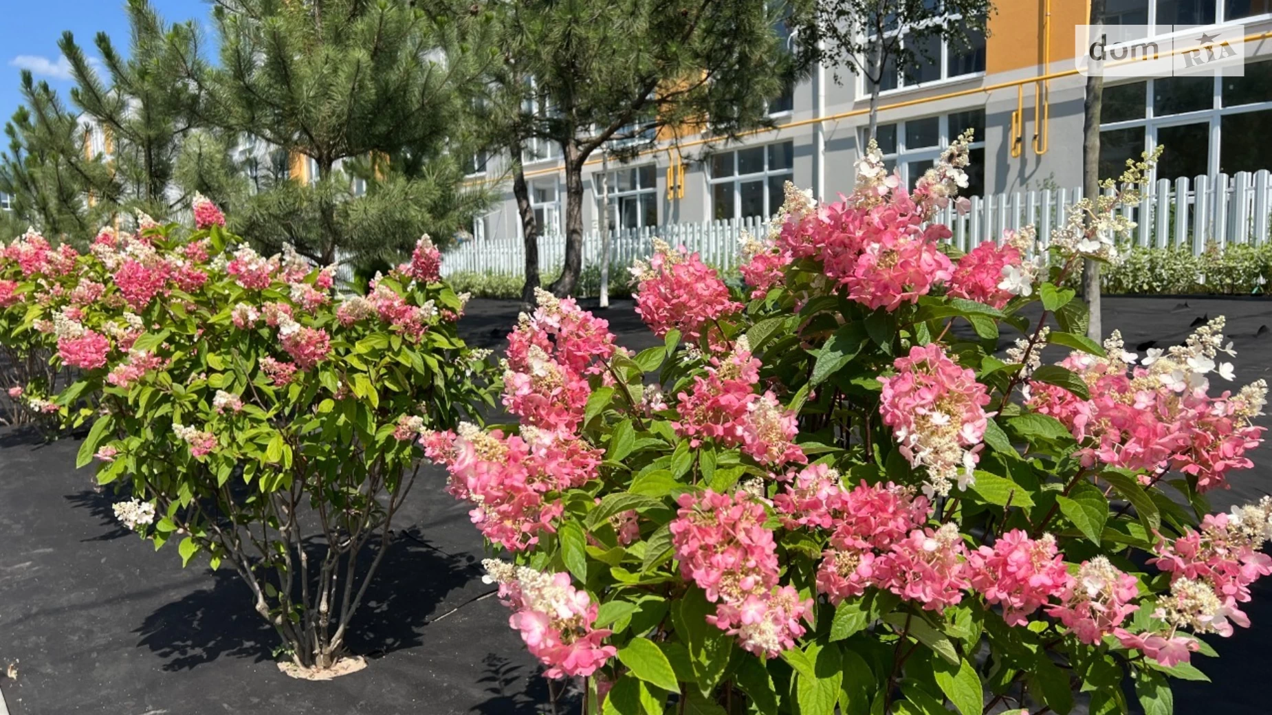 Продається 2-кімнатна квартира 48.12 кв. м у Святопетрівське, вул. Богдана Хмельницького, 17/4 - фото 5