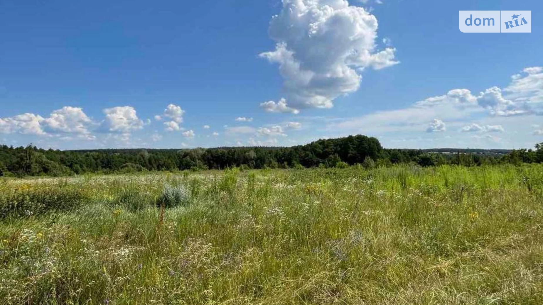 Продается земельный участок 25 соток в Киевской области, цена: 12000 $ - фото 5
