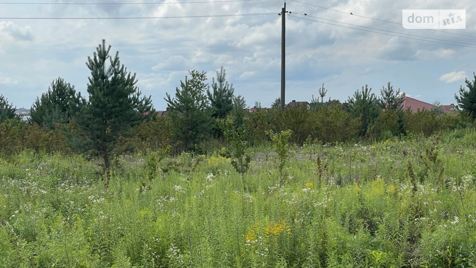 Продается земельный участок 5.16 соток в Ровенской области, цена: 30000 $ - фото 5