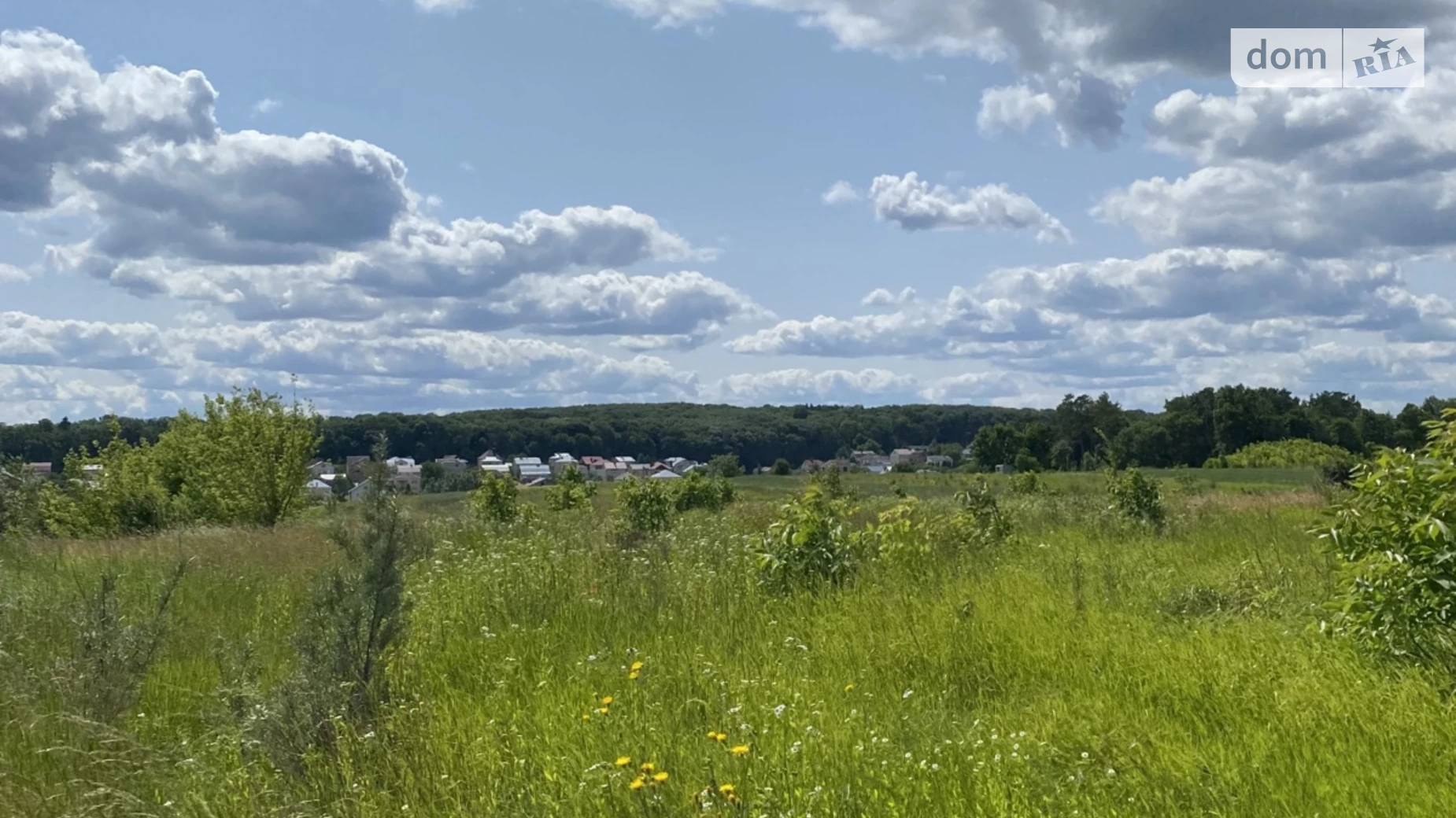 ул. Озерная Подгородное, цена: 150000 $ - фото 5