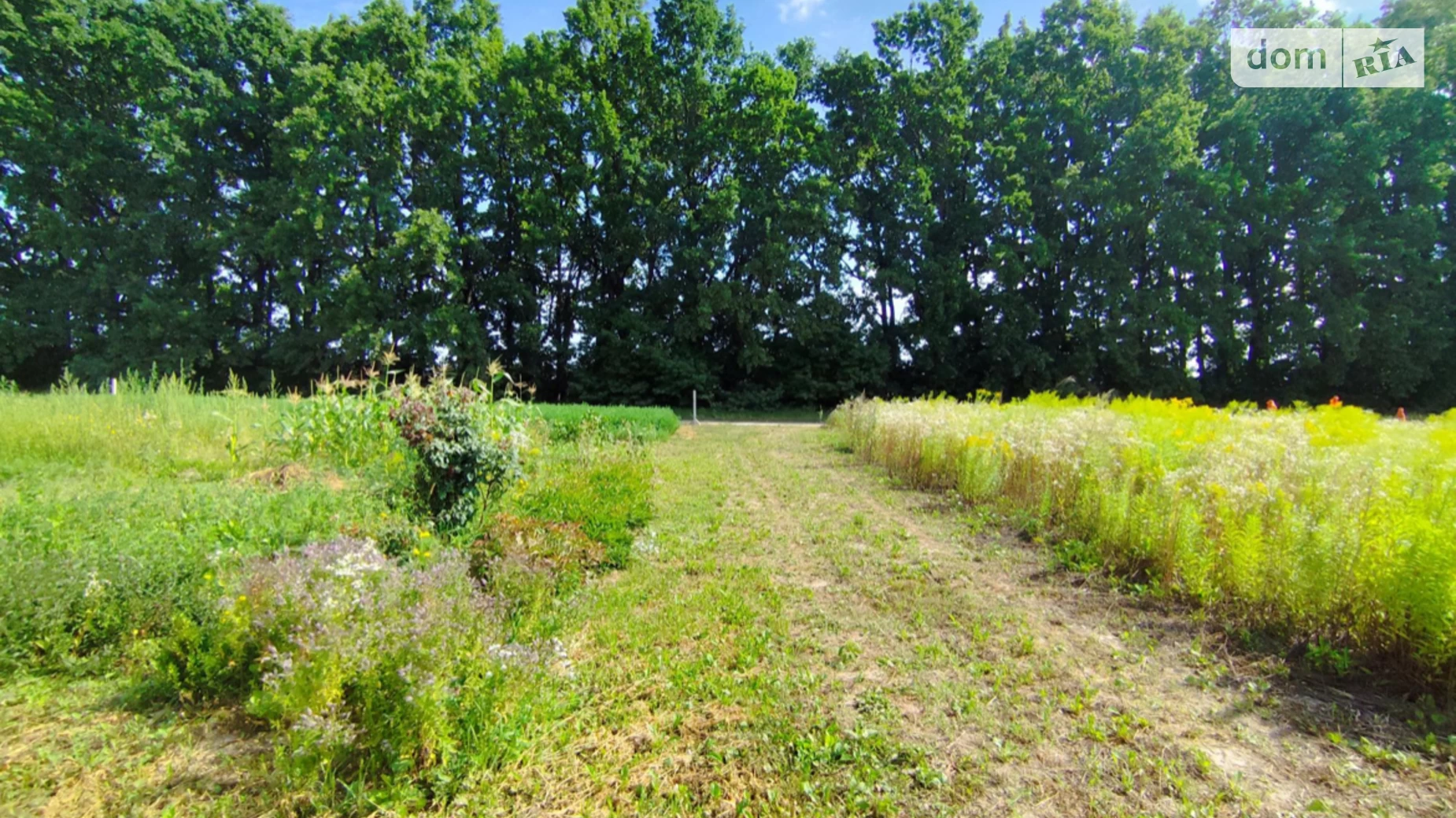 Продается земельный участок 6 соток в Винницкой области, цена: 16000 $ - фото 2