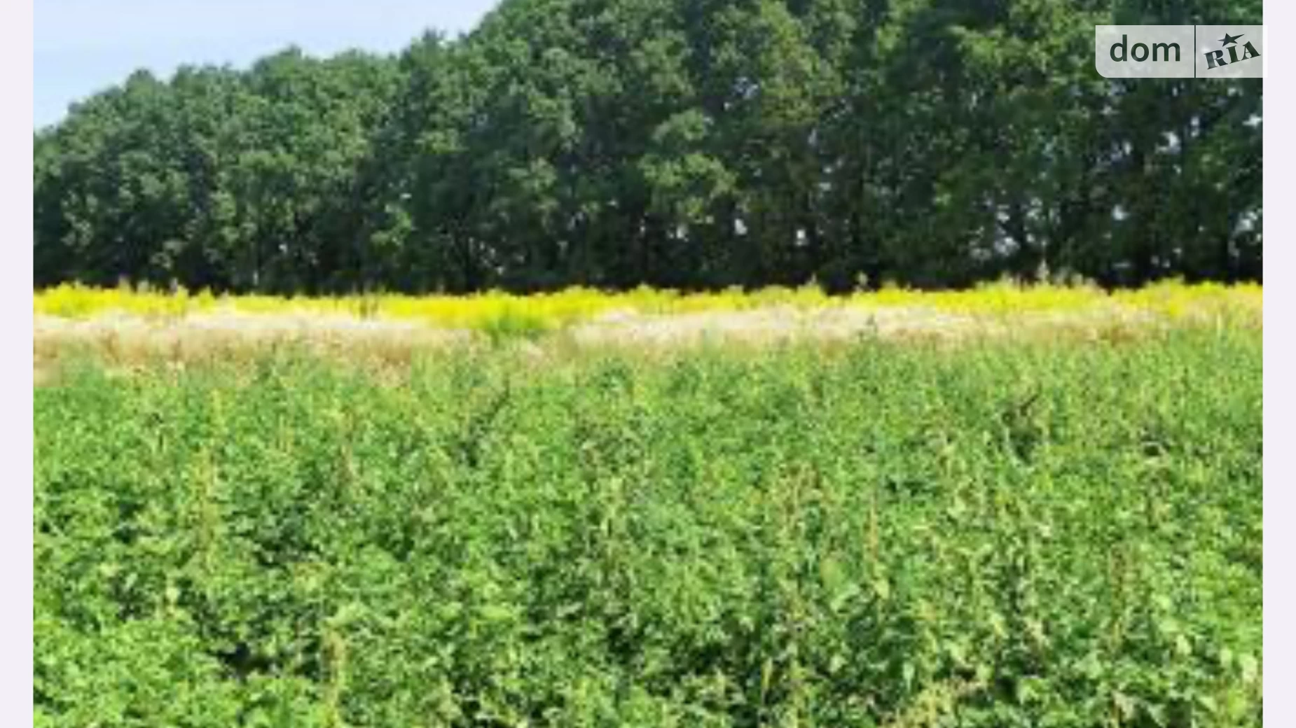 Продается земельный участок 6 соток в Винницкой области, цена: 16000 $ - фото 3