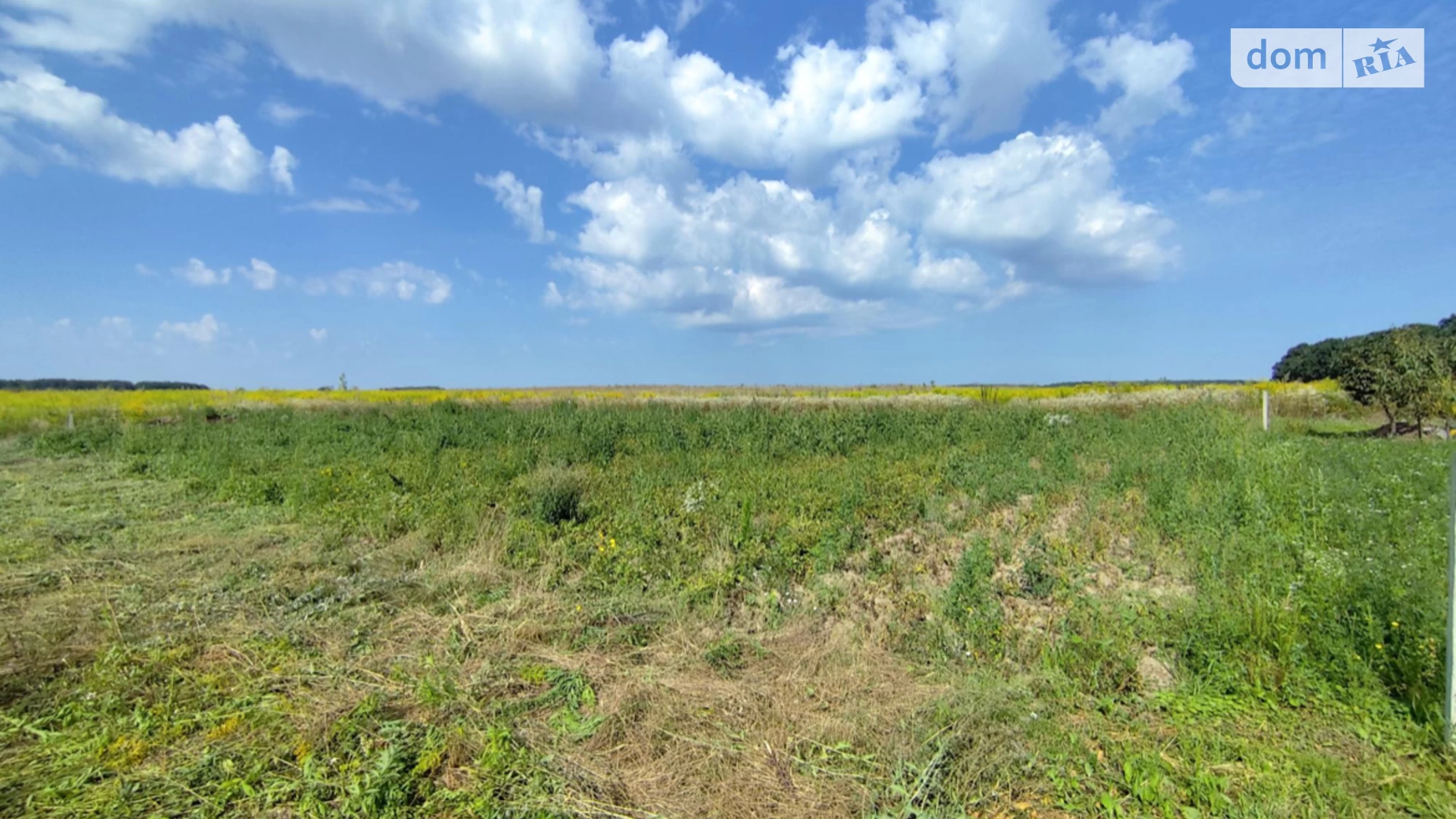 Продается земельный участок 6 соток в Винницкой области, цена: 16000 $ - фото 5