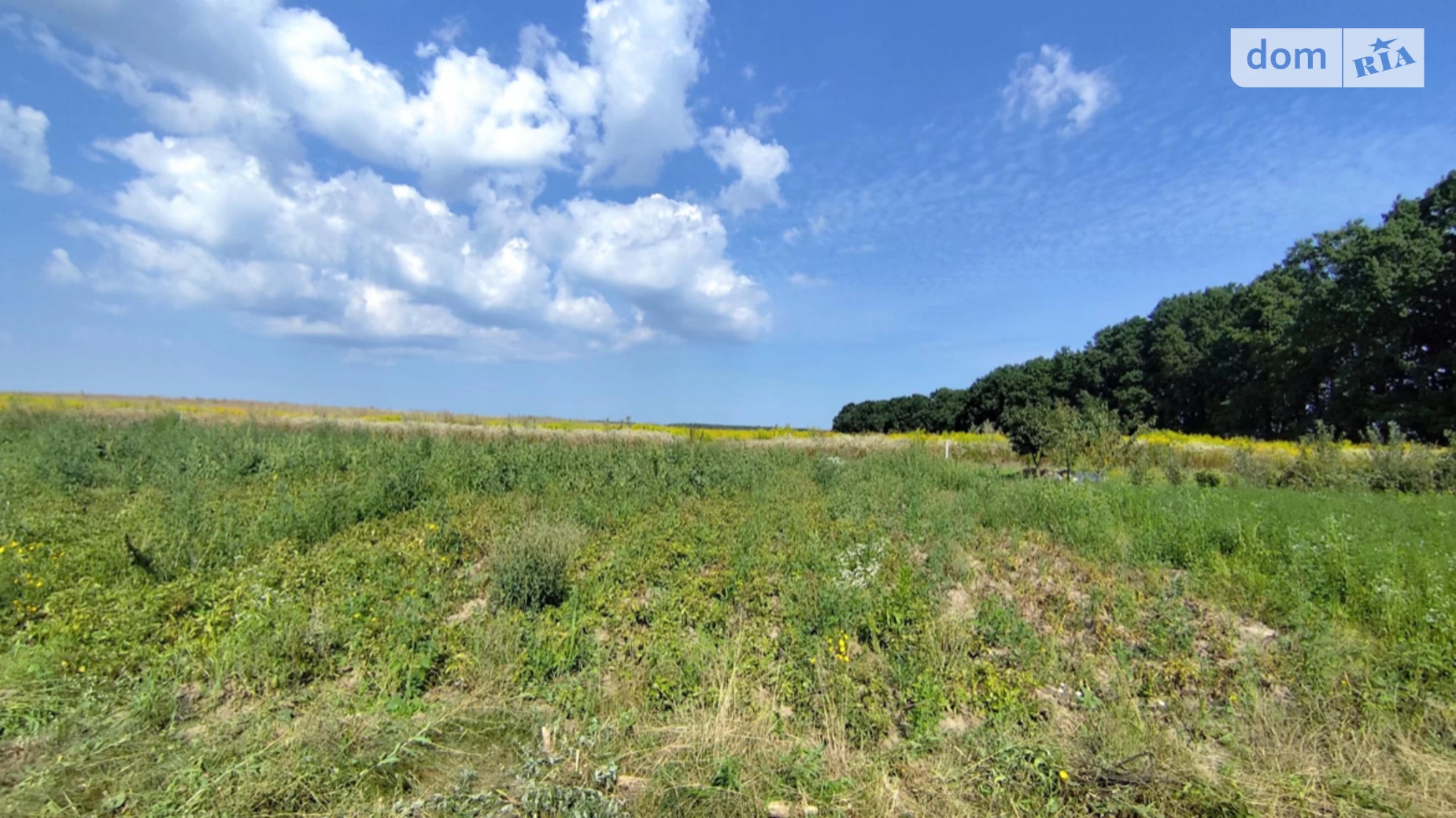 Продается земельный участок 6 соток в Винницкой области, цена: 16000 $ - фото 4