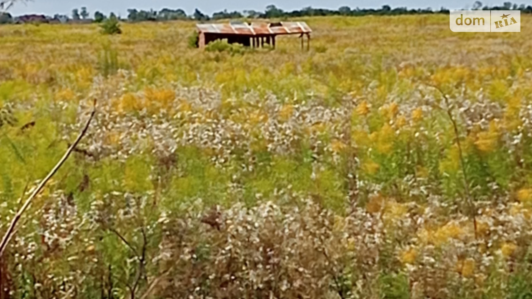 Продается земельный участок 0.06 соток в Винницкой области, цена: 31000 $ - фото 5