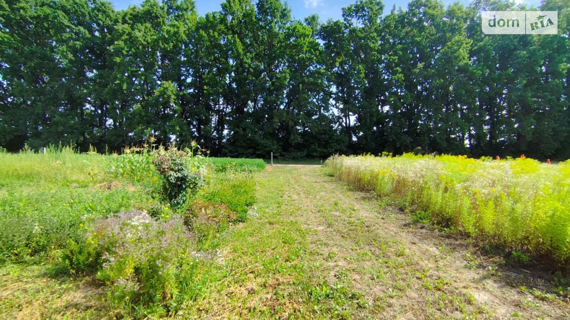 Продается земельный участок 6 соток в Винницкой области, цена: 16000 $ - фото 2