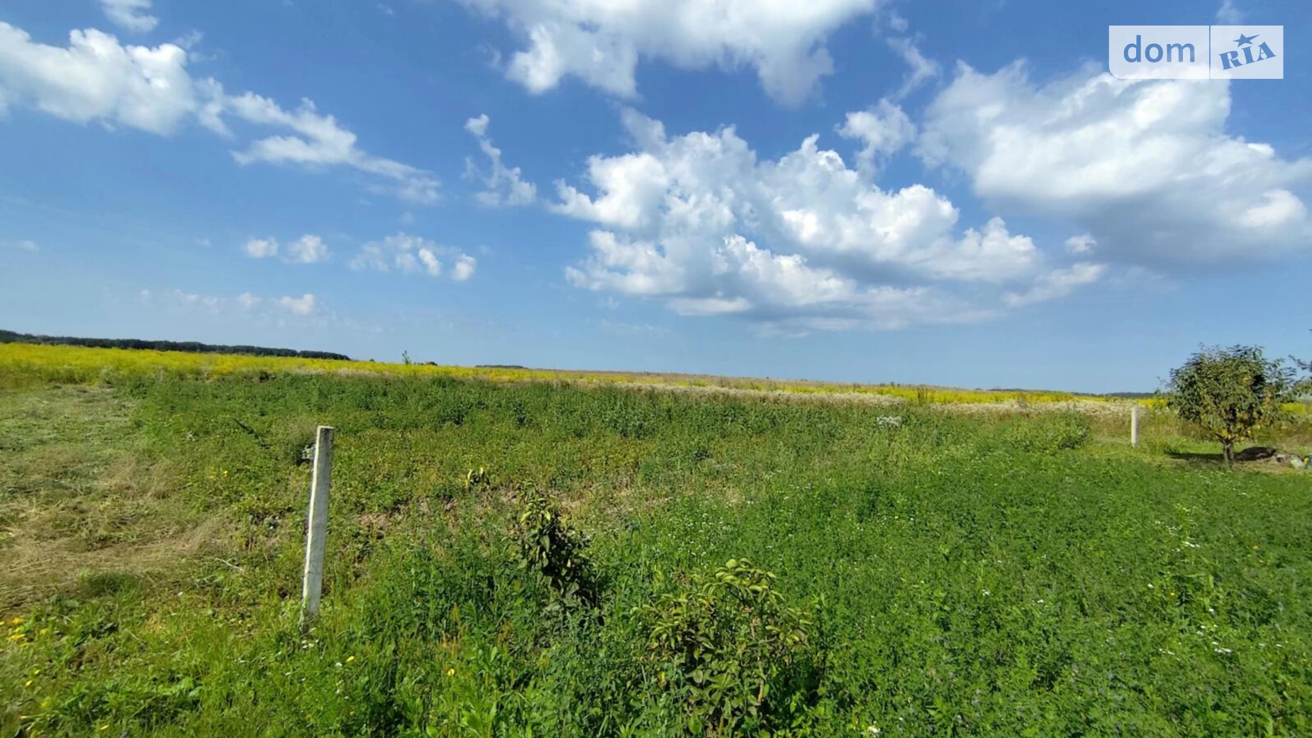 Продается земельный участок 6 соток в Винницкой области, цена: 16000 $ - фото 4