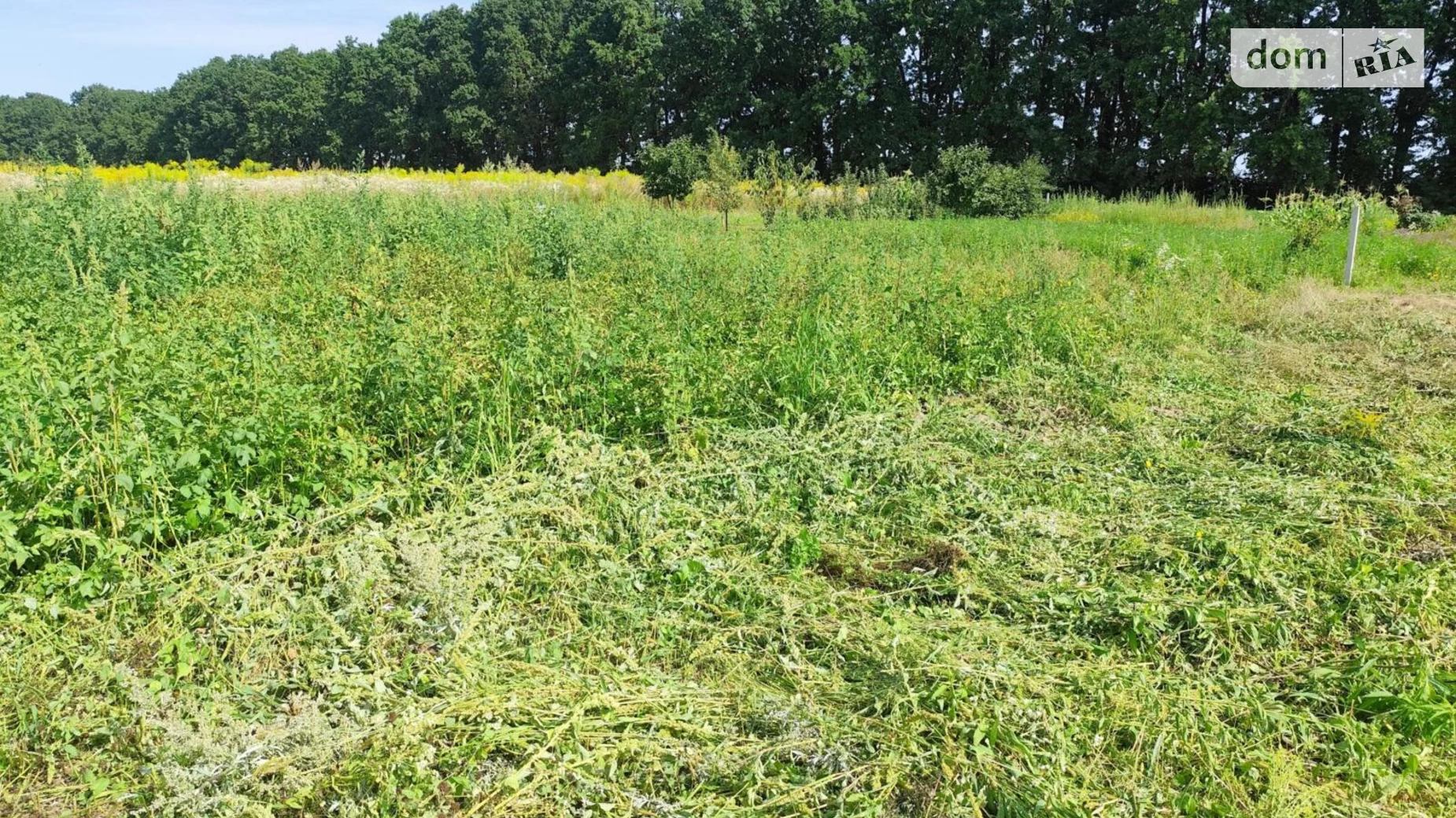 Продается земельный участок 6 соток в Винницкой области, цена: 16000 $ - фото 3