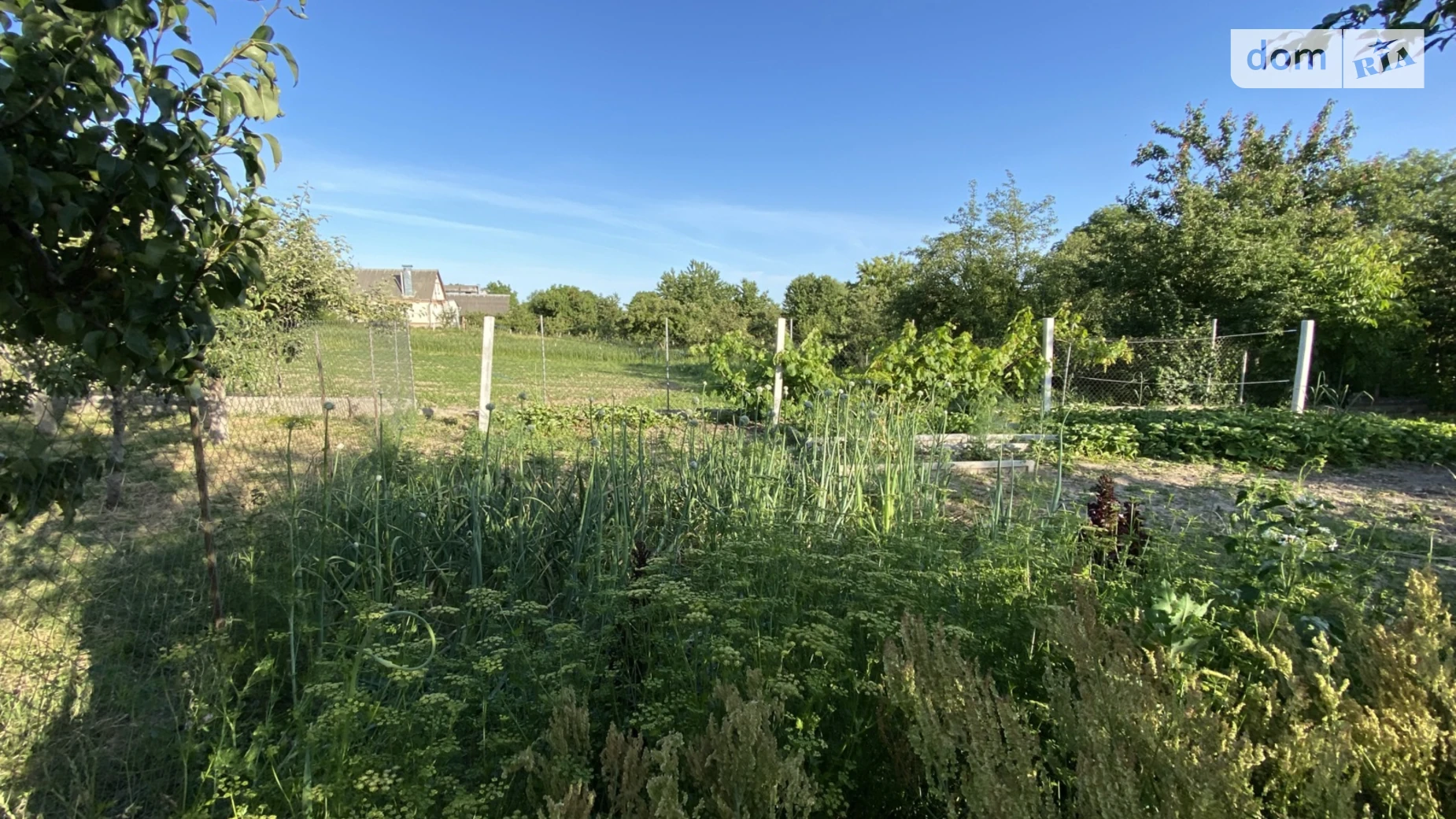 Продается земельный участок 8 соток в Винницкой области, цена: 12700 $ - фото 4