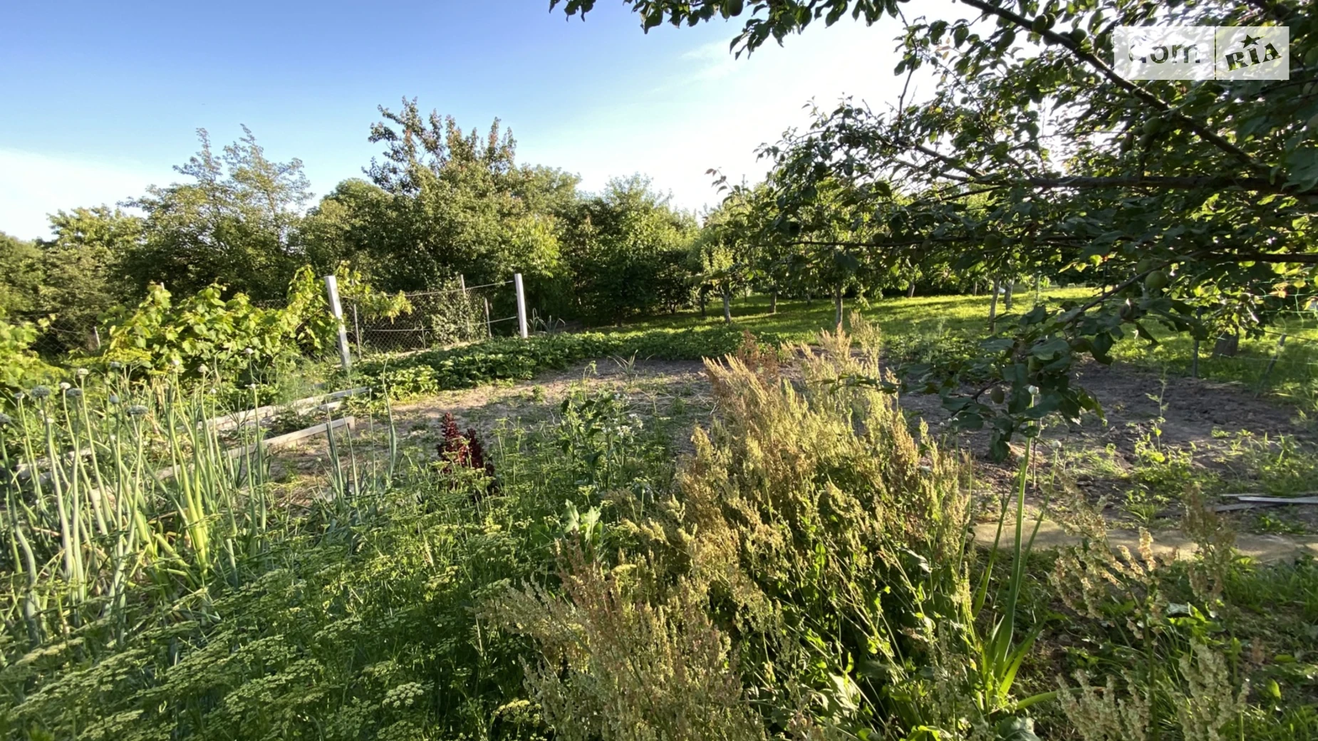 Продается земельный участок 8 соток в Винницкой области, цена: 12700 $ - фото 5