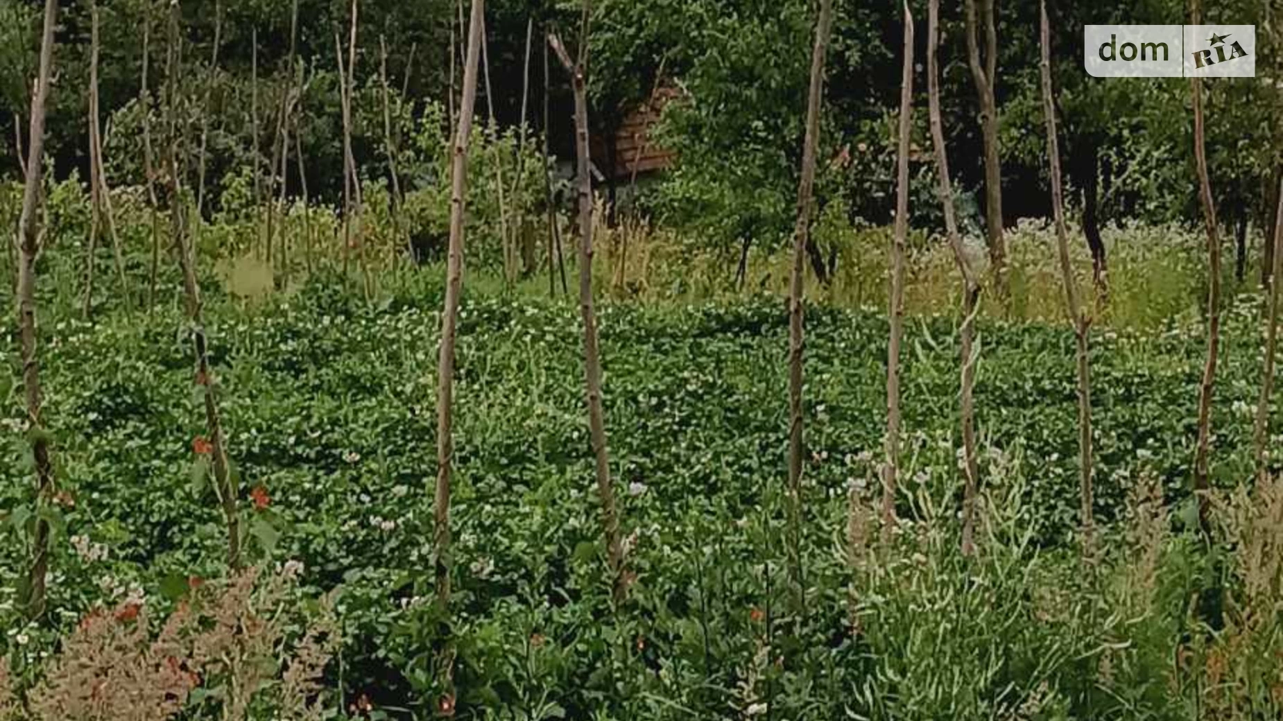 вулиця Зелена Волчищовичи, цена: 15000 $ - фото 3