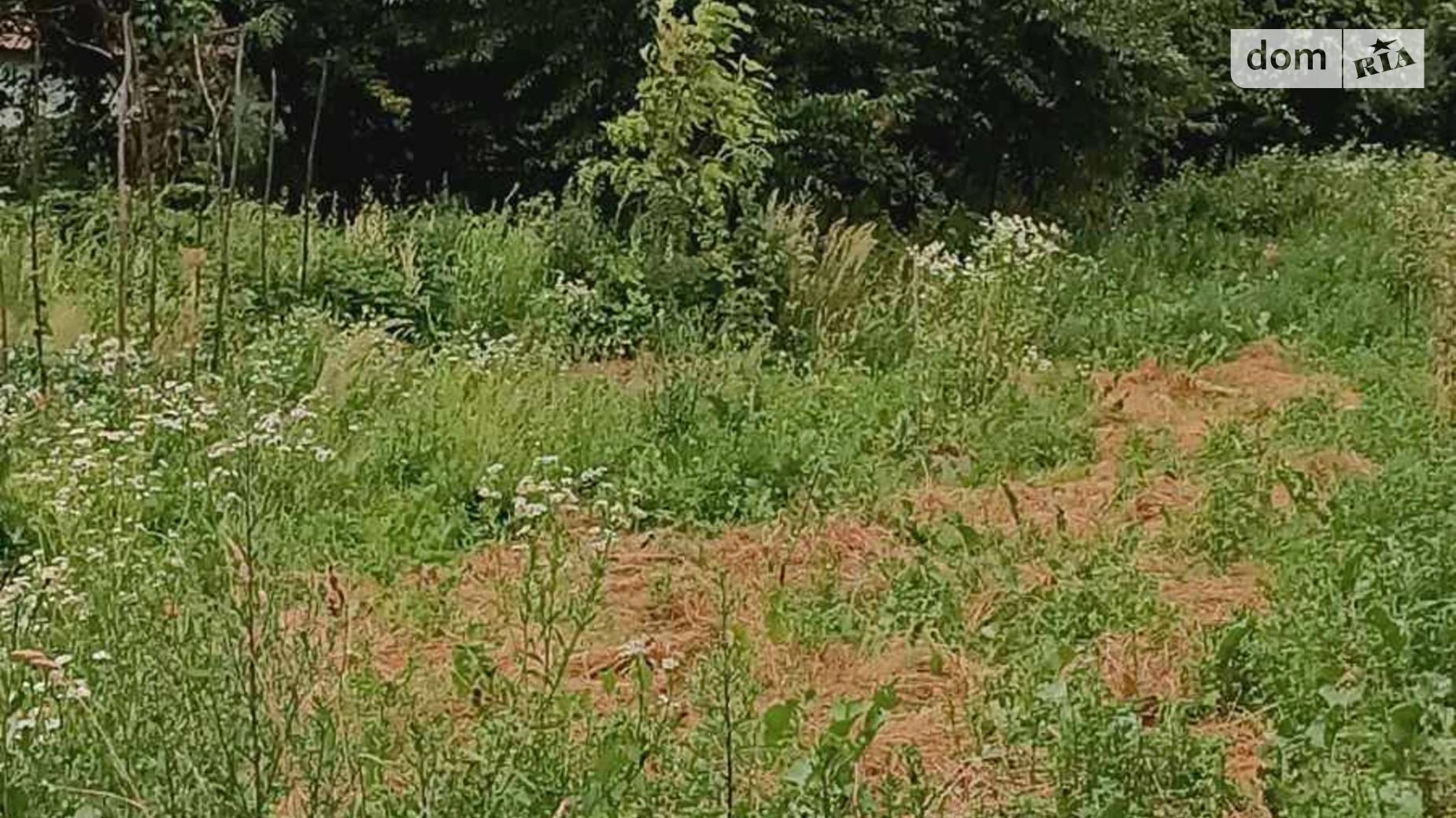 вулиця Зелена Волчищовичи, цена: 15000 $ - фото 4