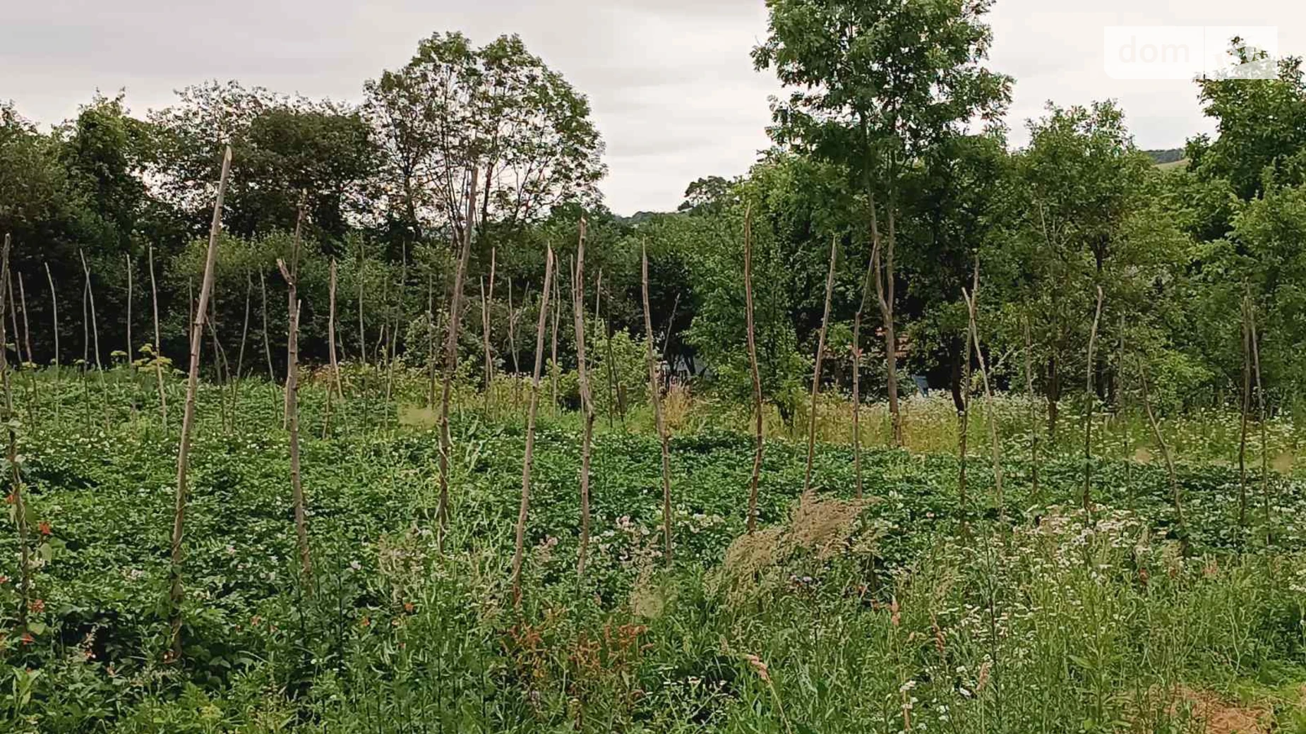 вулиця Зелена Волчищовичи, цена: 15000 $ - фото 2