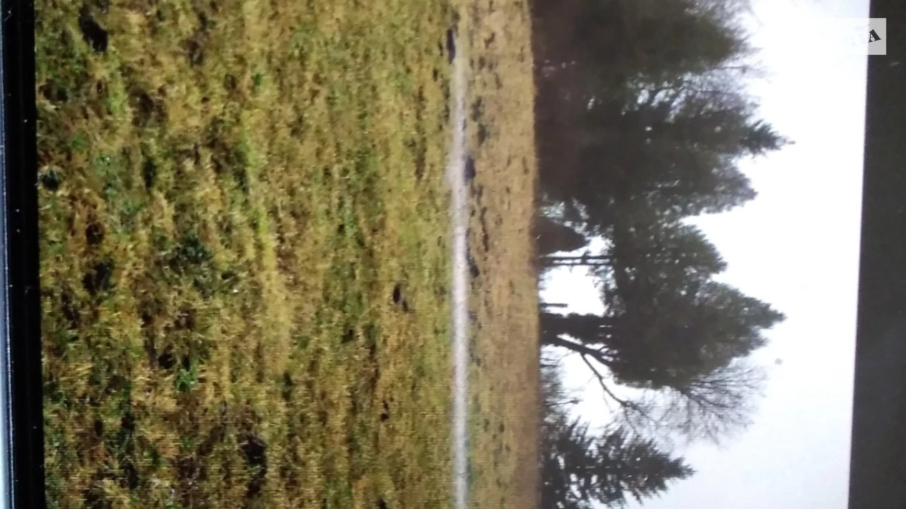 вулиця Ринок Волков (Пустомыты), цена: 270000 грн - фото 5