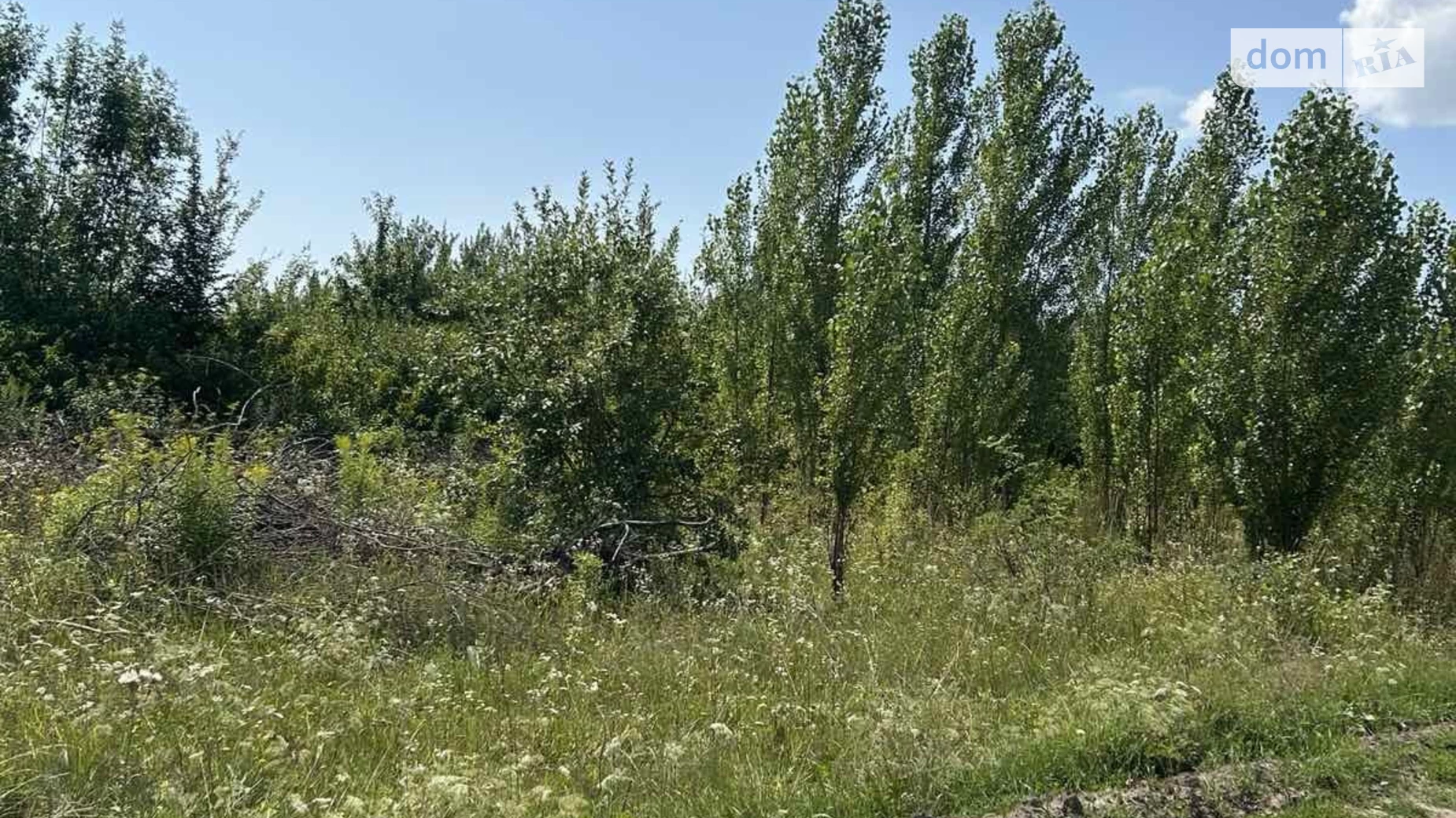 вулиця Платонівська Стуфчинцы, цена: 200000 $ - фото 5