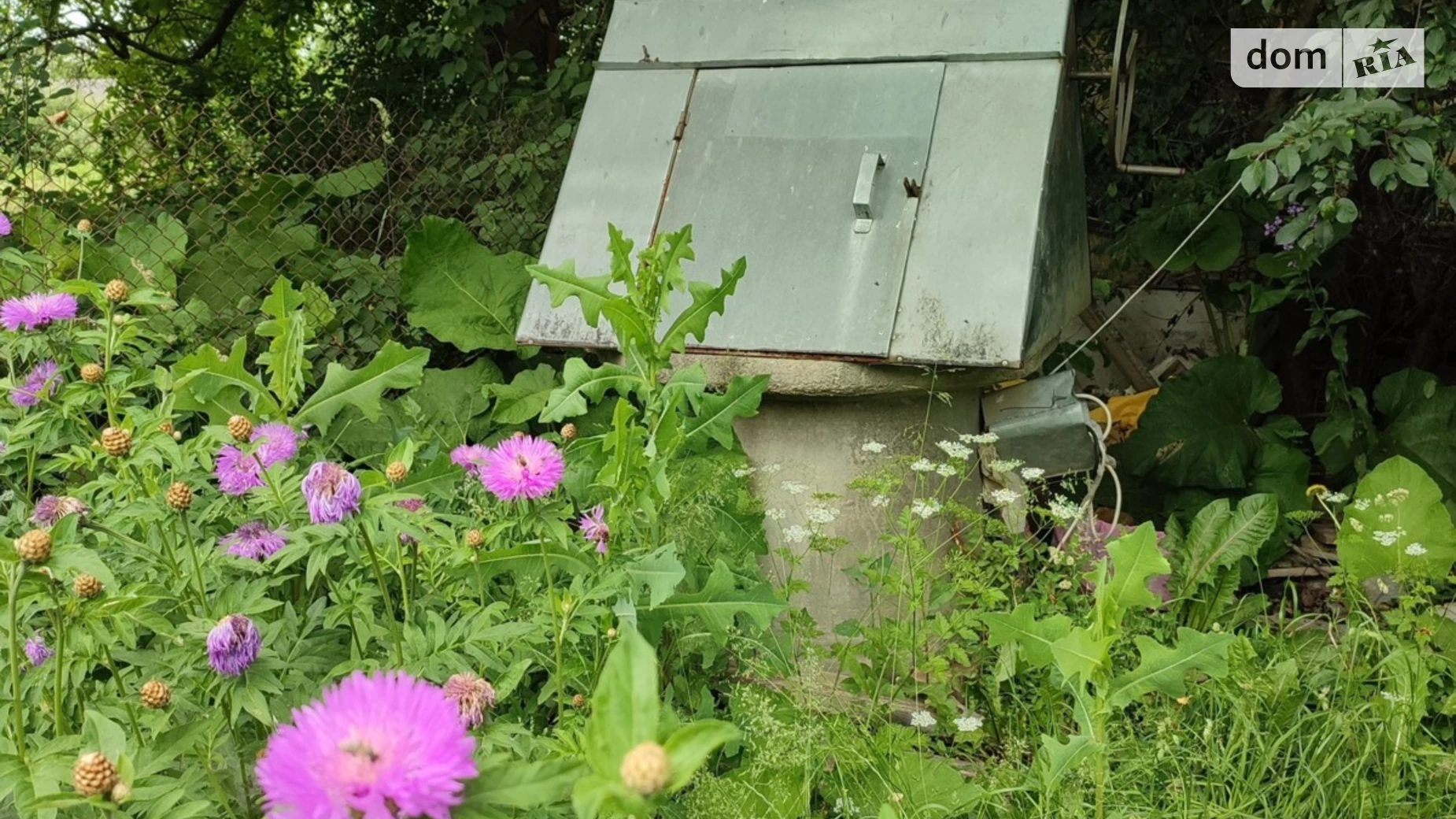 Продается одноэтажный дом 42 кв. м с садом, цена: 27999 $ - фото 2