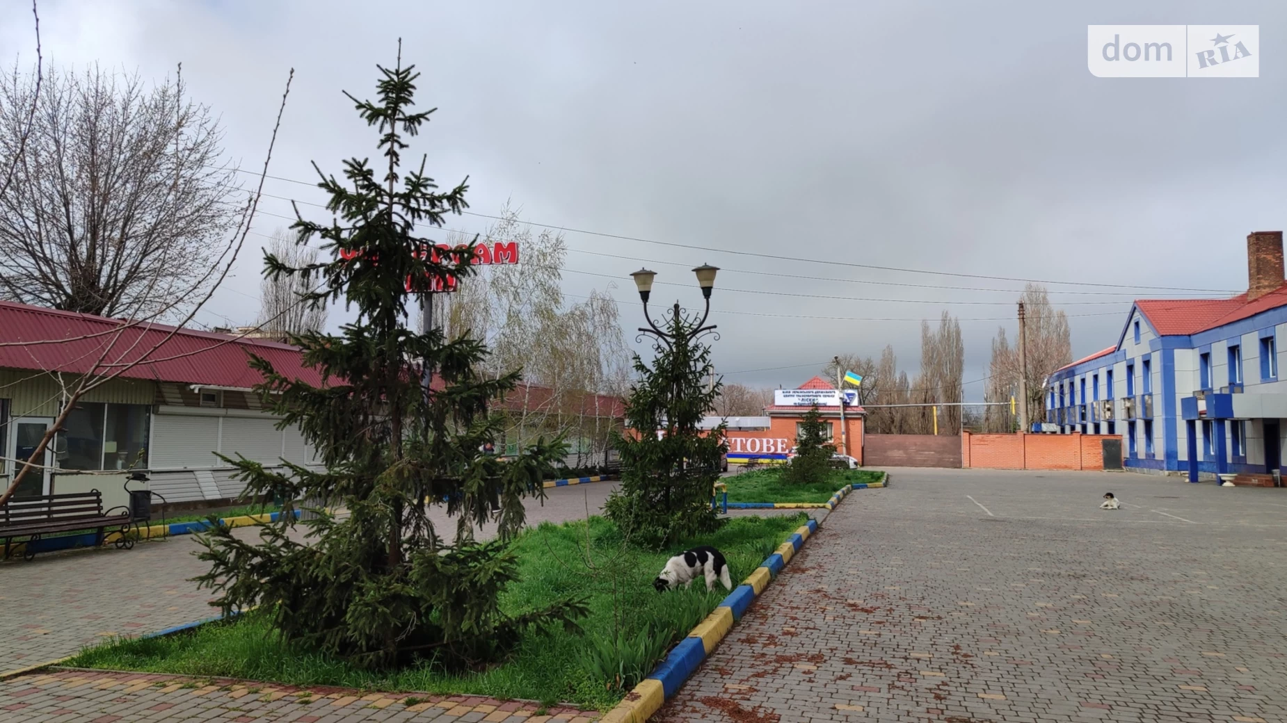 Продается одноэтажный дом 209.7 кв. м с садом, цена: 57000 $ - фото 2