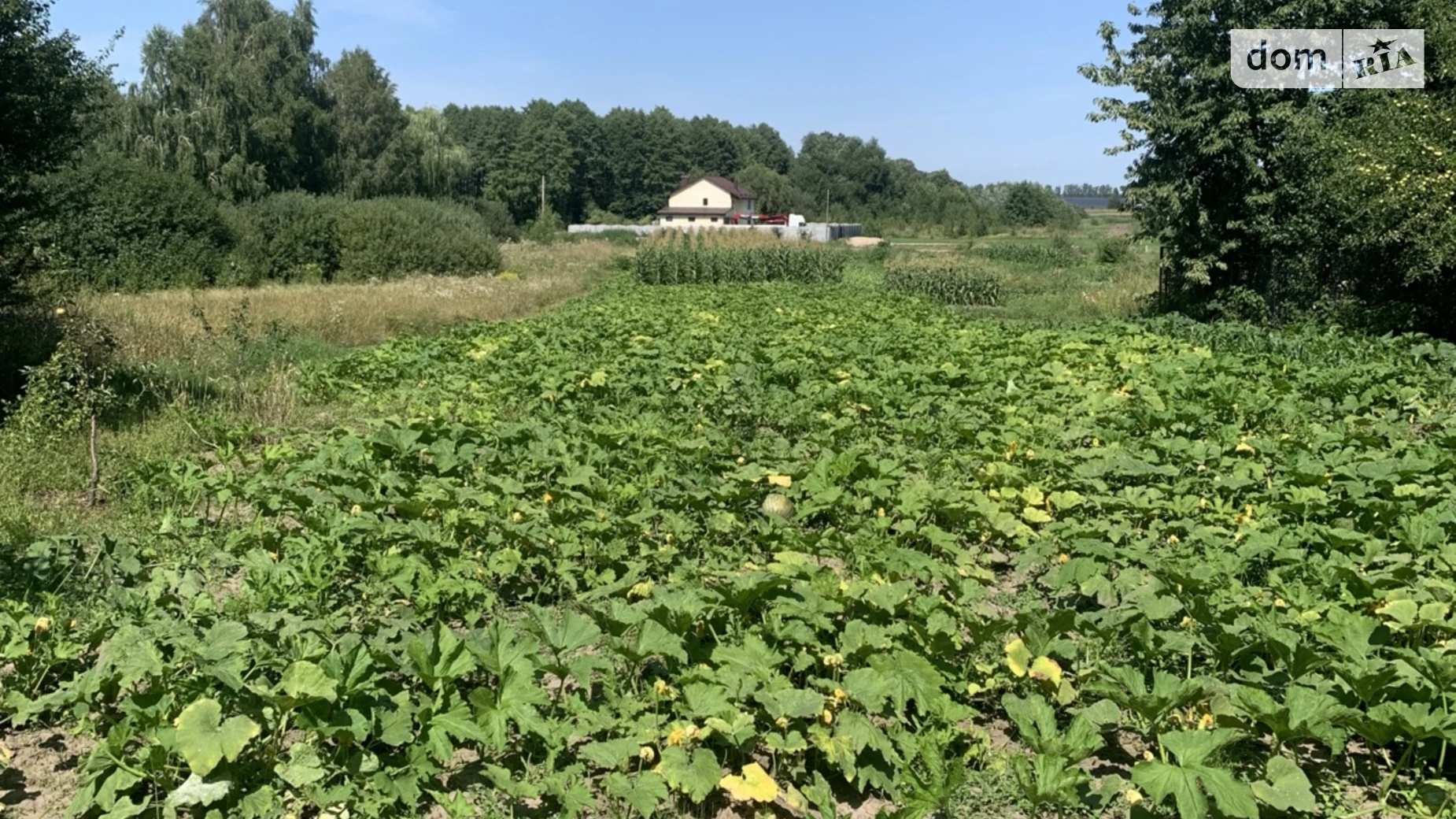 Продается земельный участок 17 соток в Винницкой области, цена: 8000 $ - фото 5