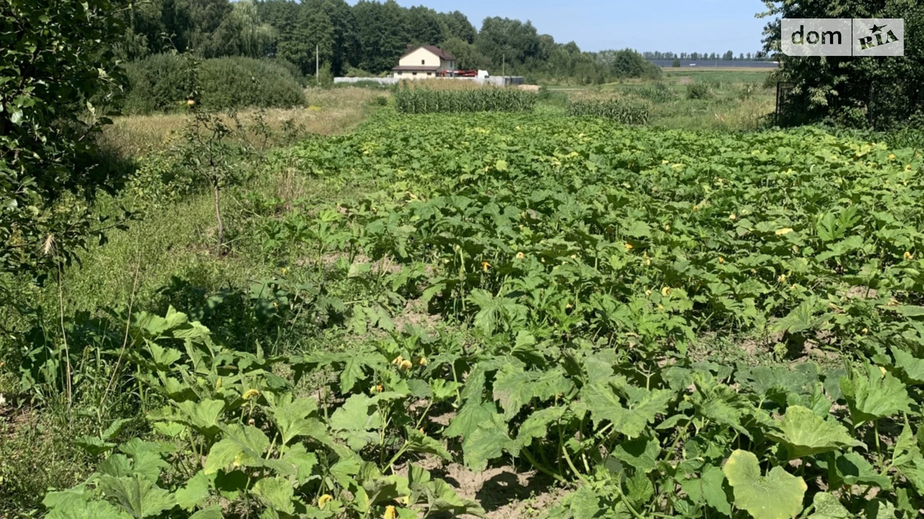 Продается земельный участок 17 соток в Винницкой области, цена: 8000 $ - фото 4