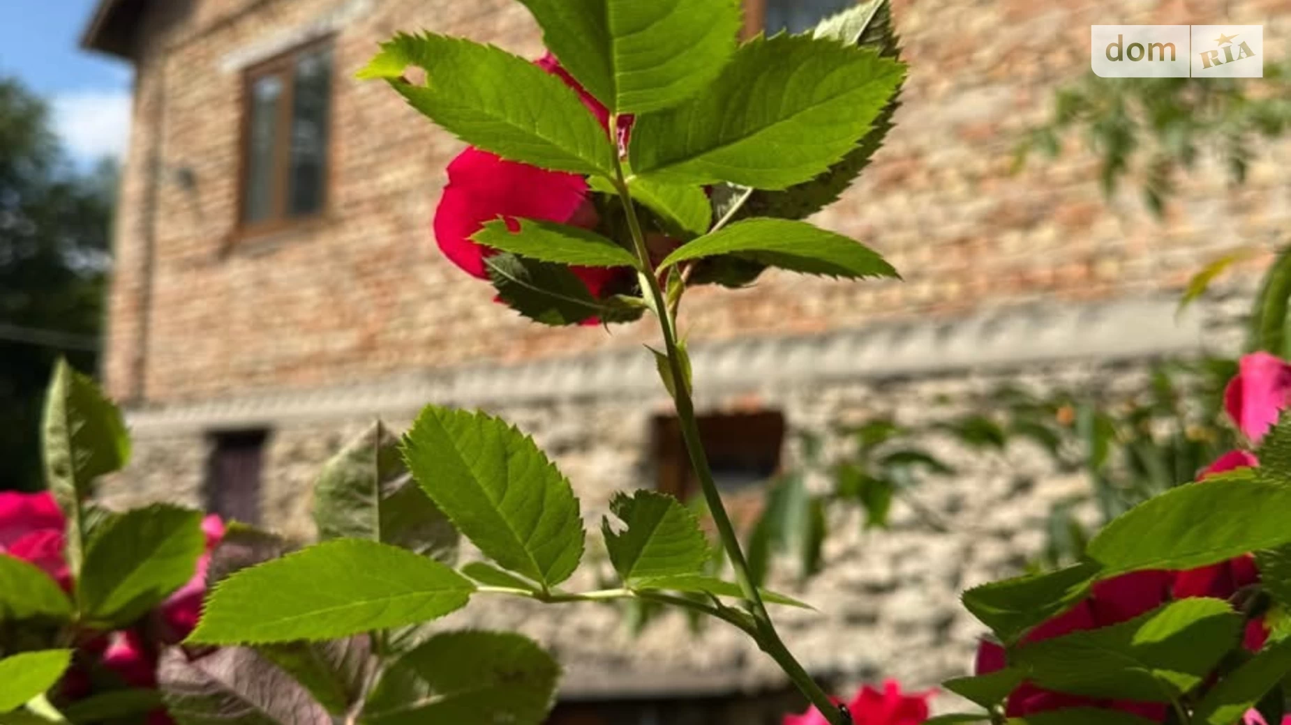 Продается одноэтажный дом 119 кв. м с мансардой, цена: 36000 $ - фото 2